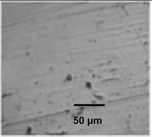 Coatings 12 00339 i052