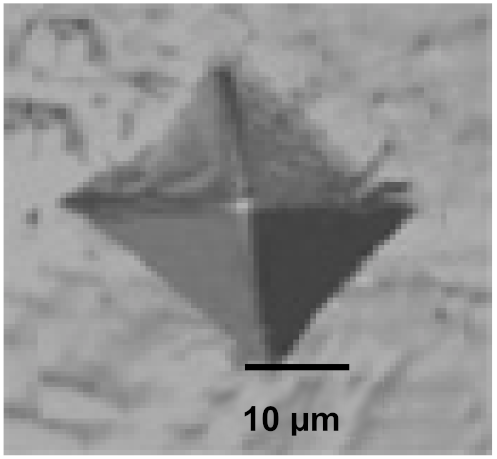 Coatings 12 00339 i057