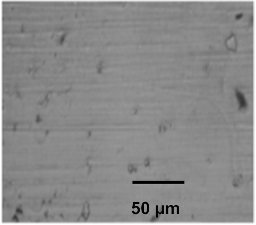 Coatings 12 00339 i061