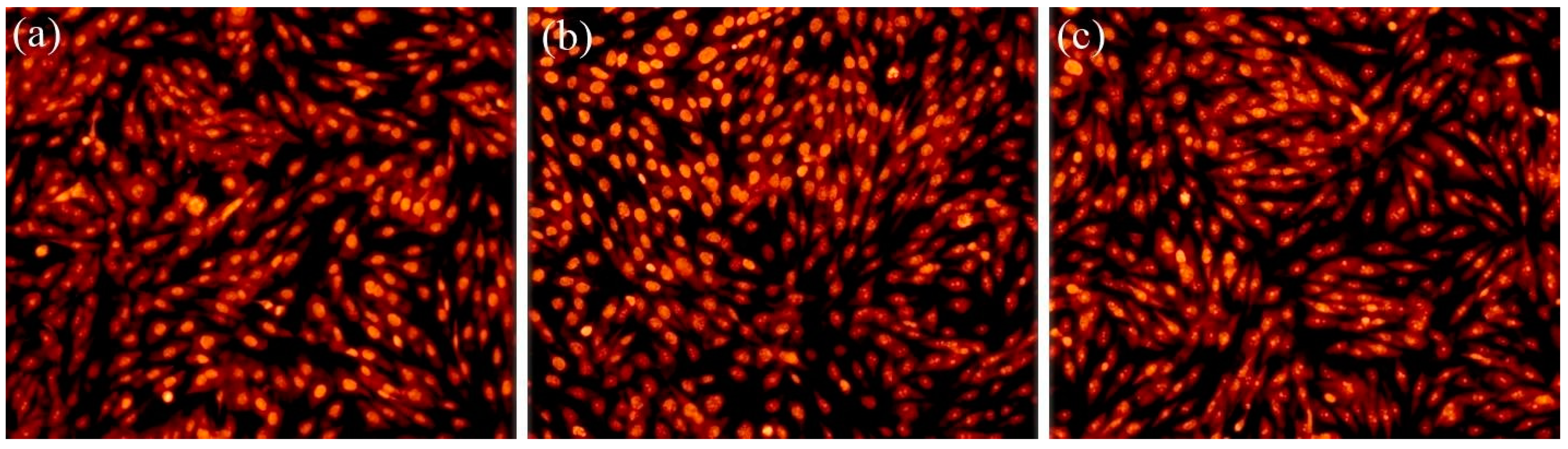 Coatings 12 00341 g009