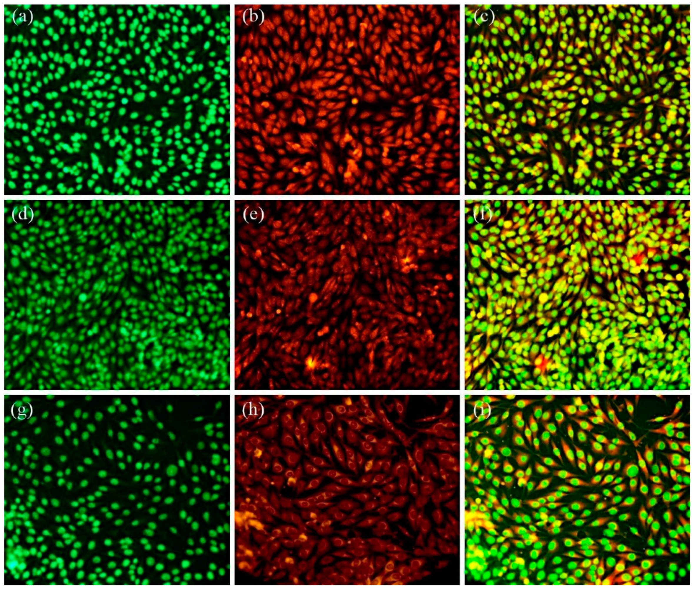Coatings 12 00341 g010