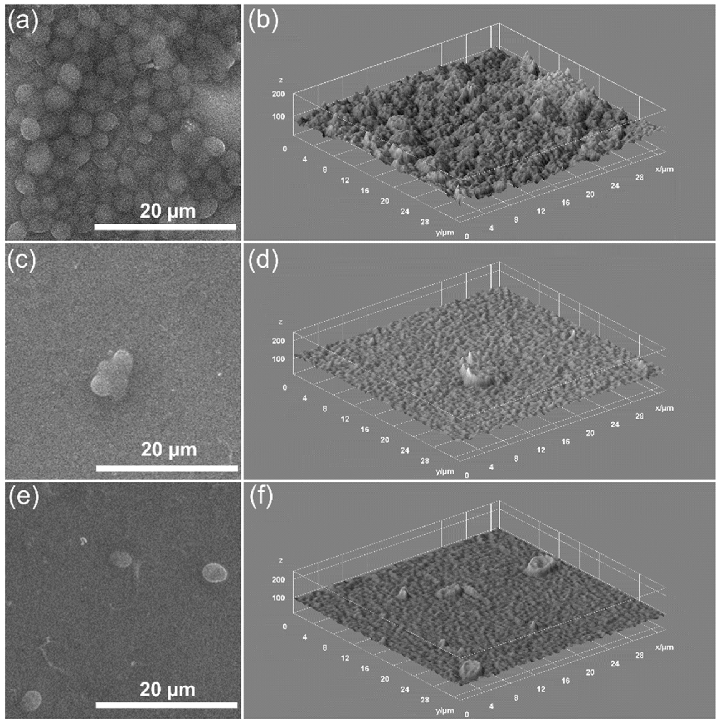 Coatings 12 00341 g013