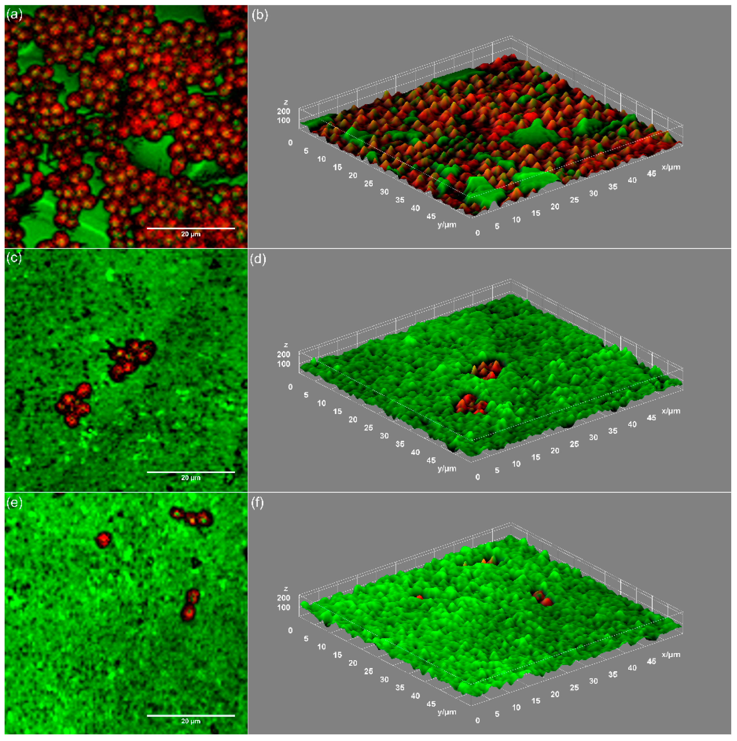 Coatings 12 00341 g014