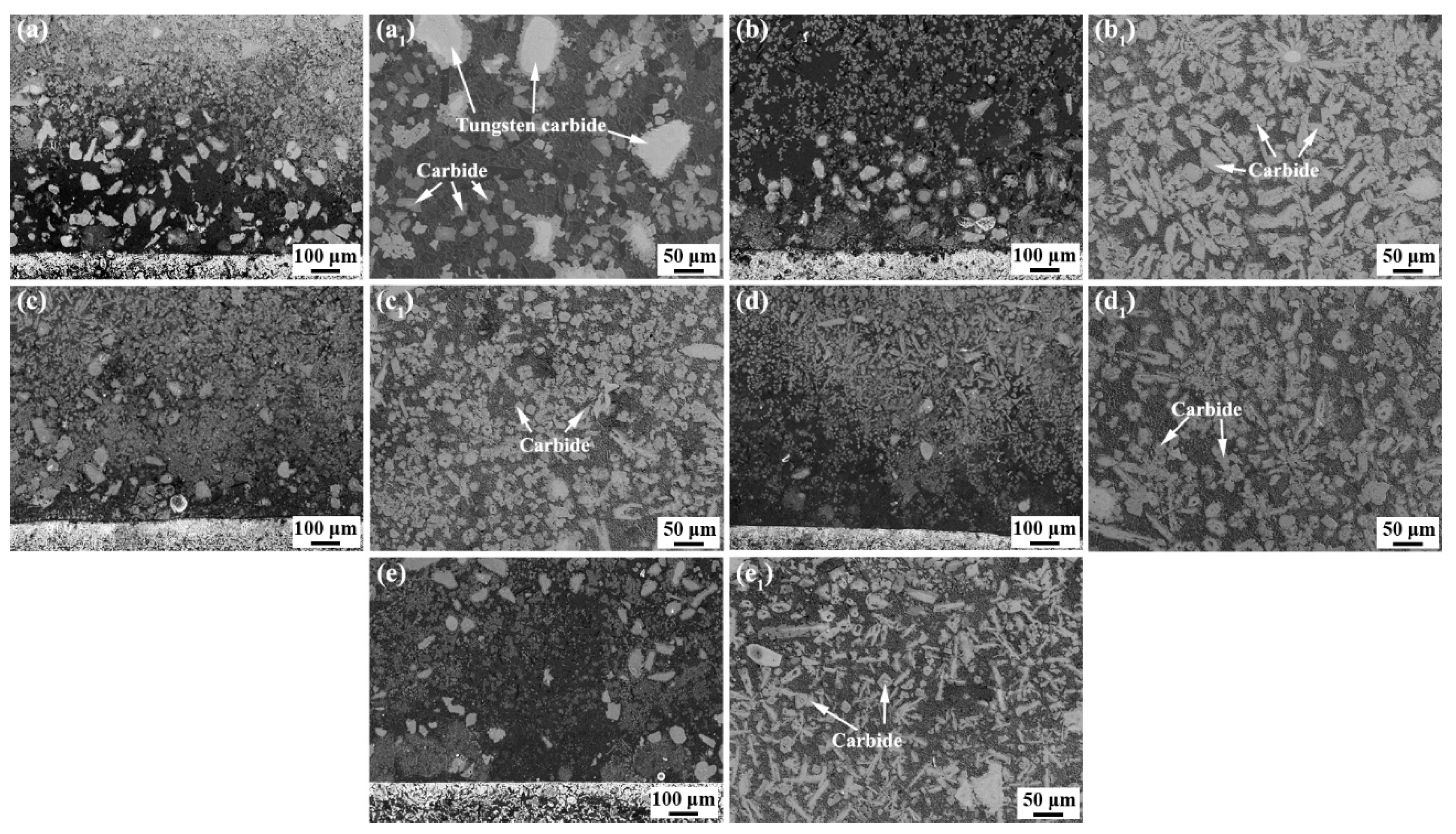 Coatings 12 00342 g001 550