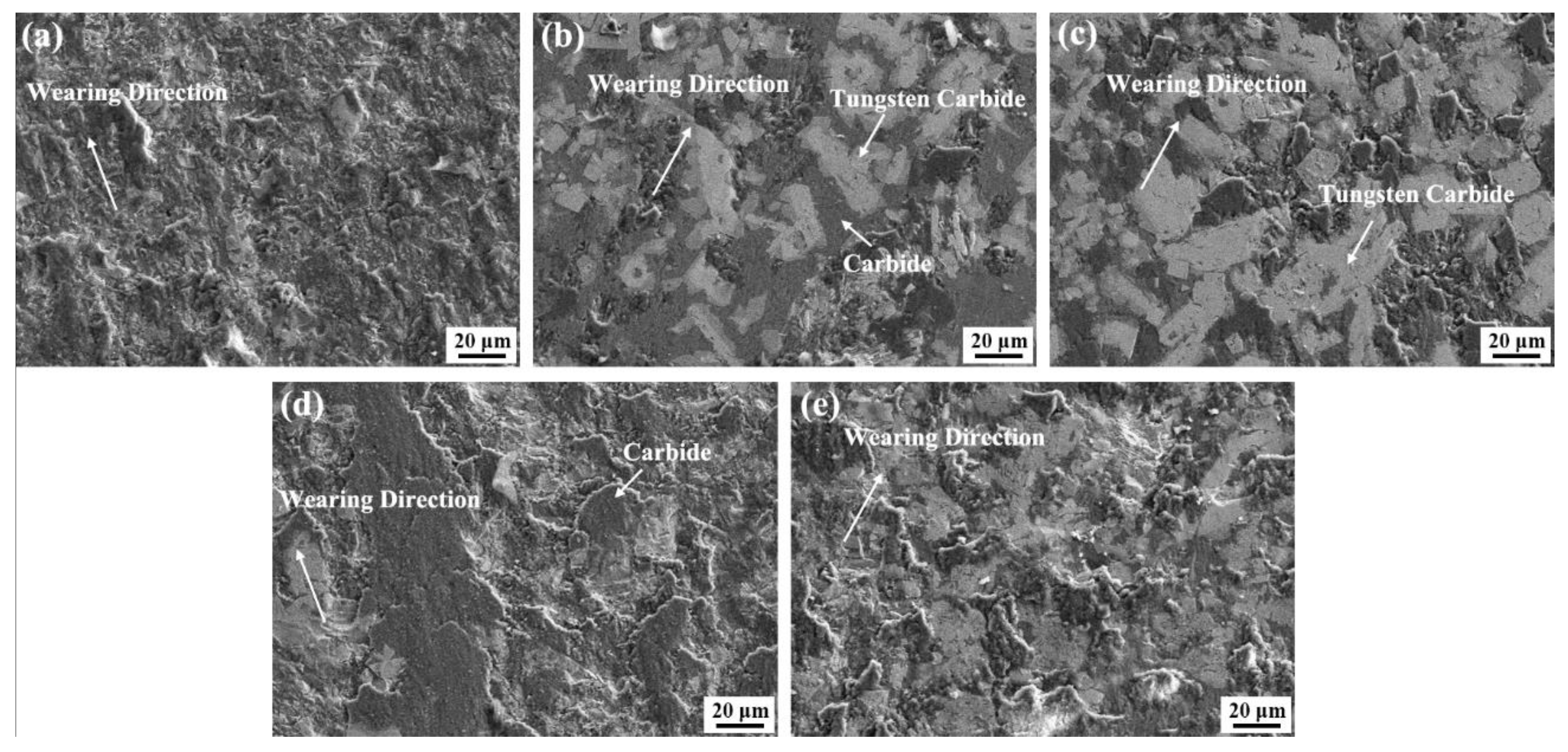 Coatings 12 00342 g008 550