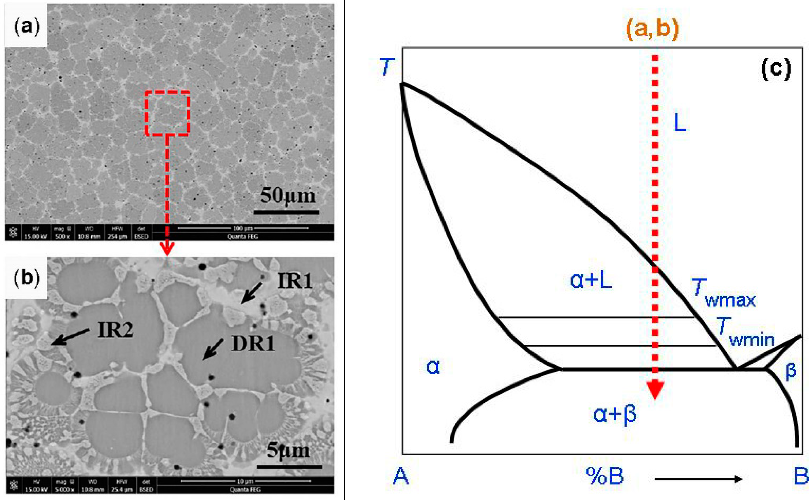 Coatings 12 00343 g004 550