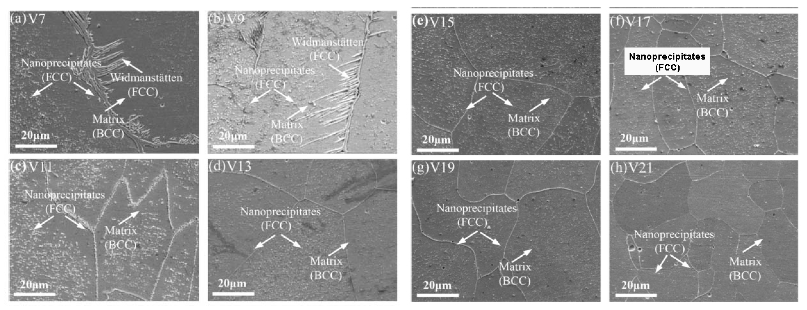 Coatings 12 00343 g009 550