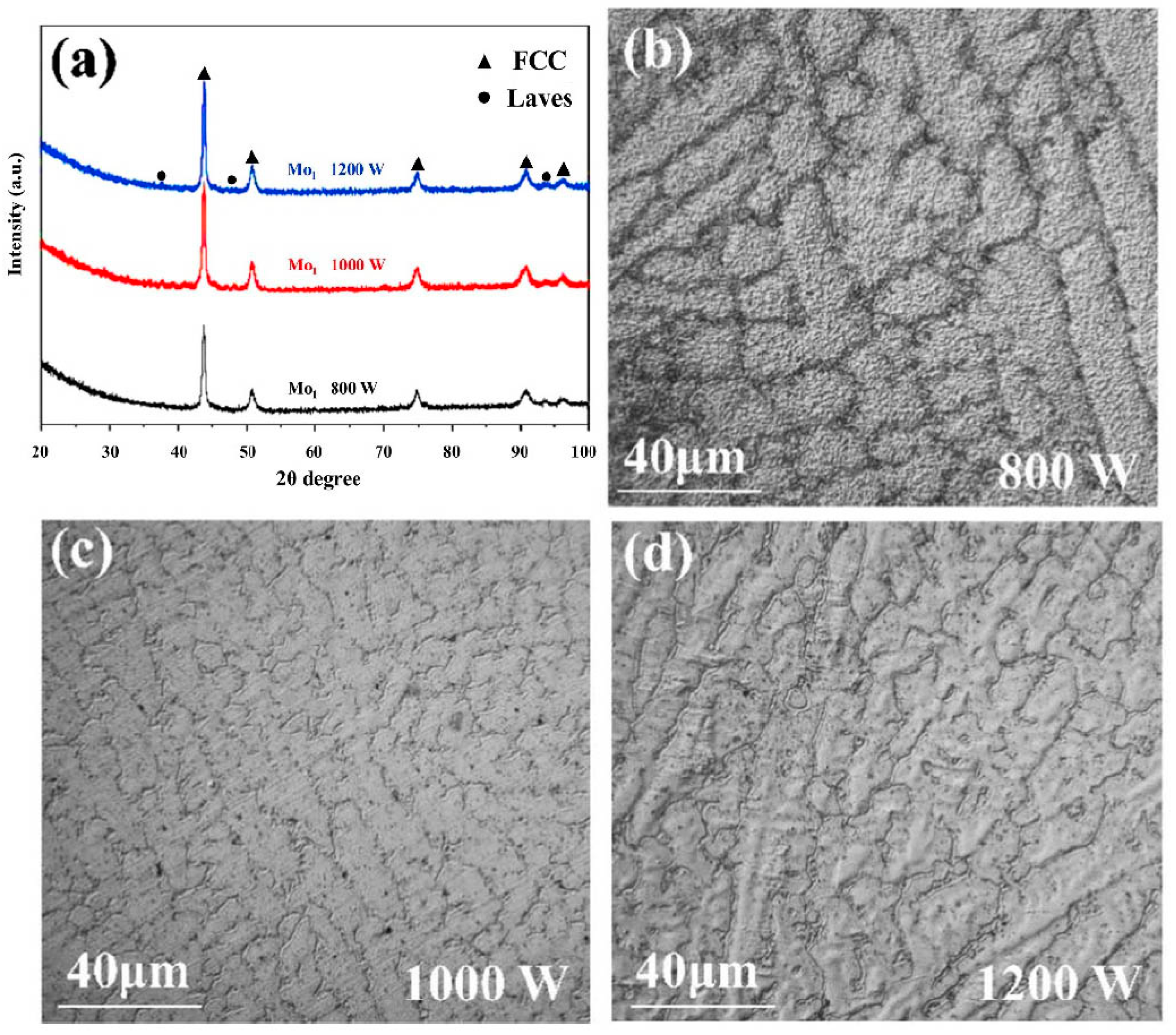 Coatings 12 00343 g011 550
