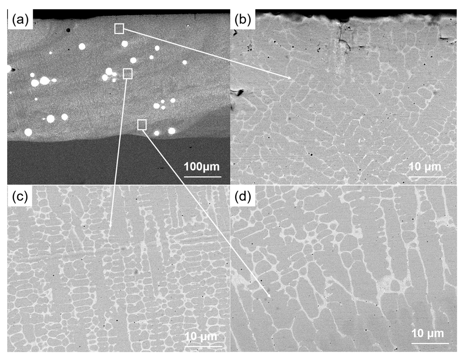 Coatings 12 00343 g012 550