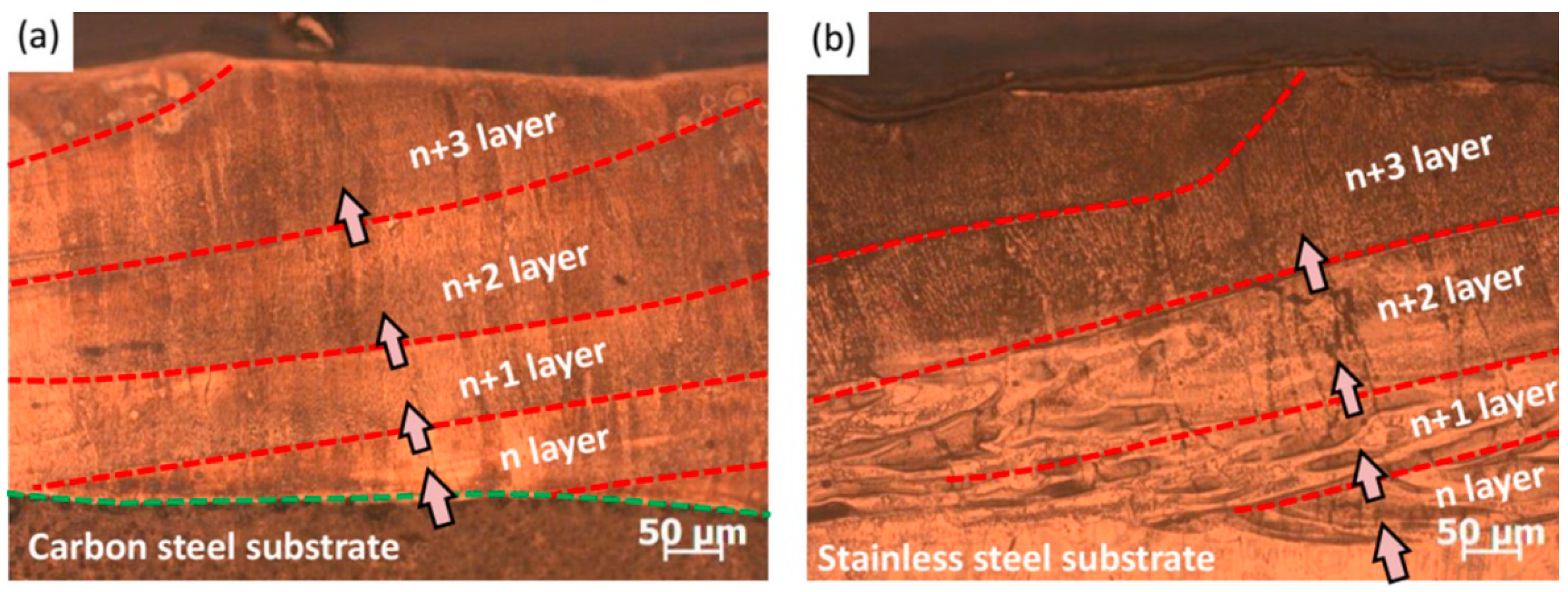 Coatings 12 00343 g017 550