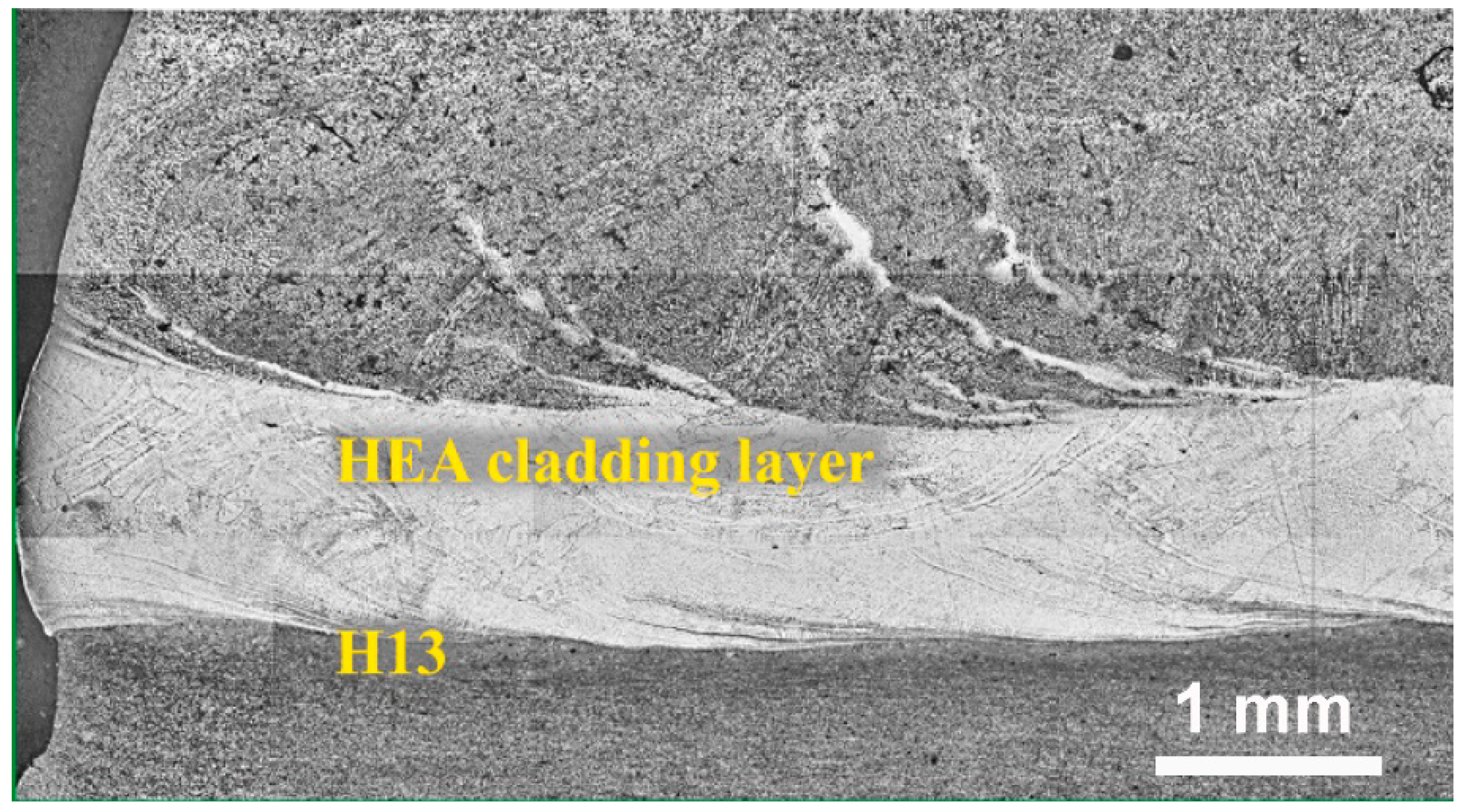 Coatings 12 00343 g018 550