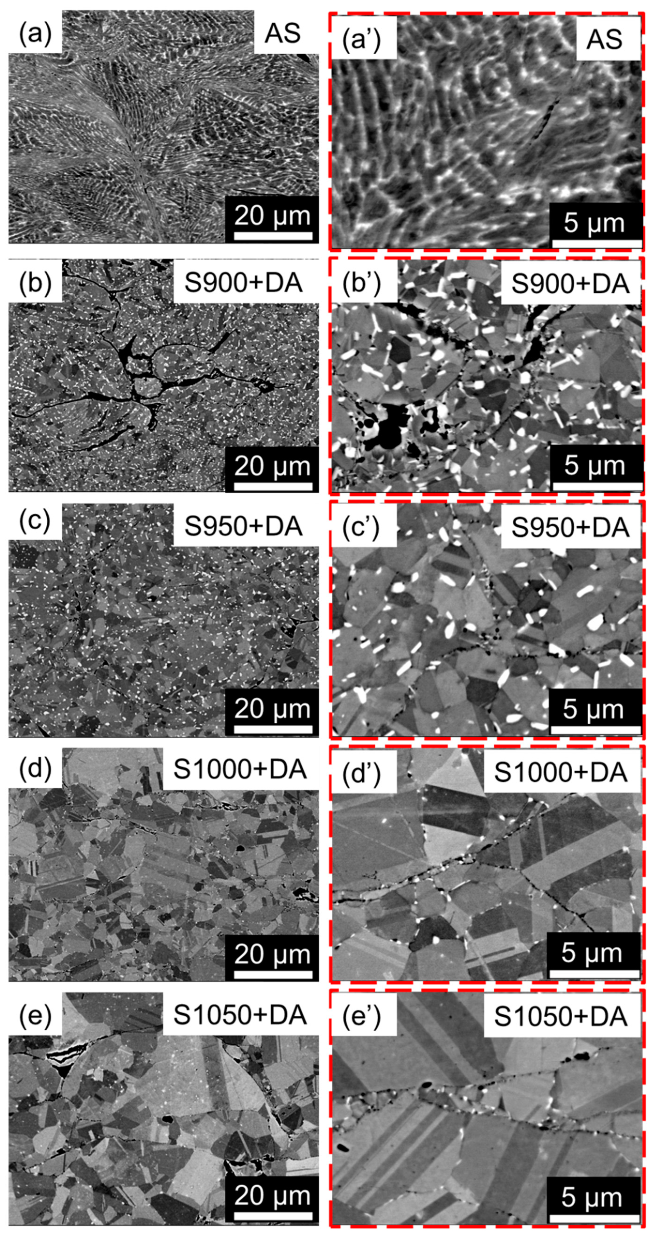 Coatings 12 00347 g006