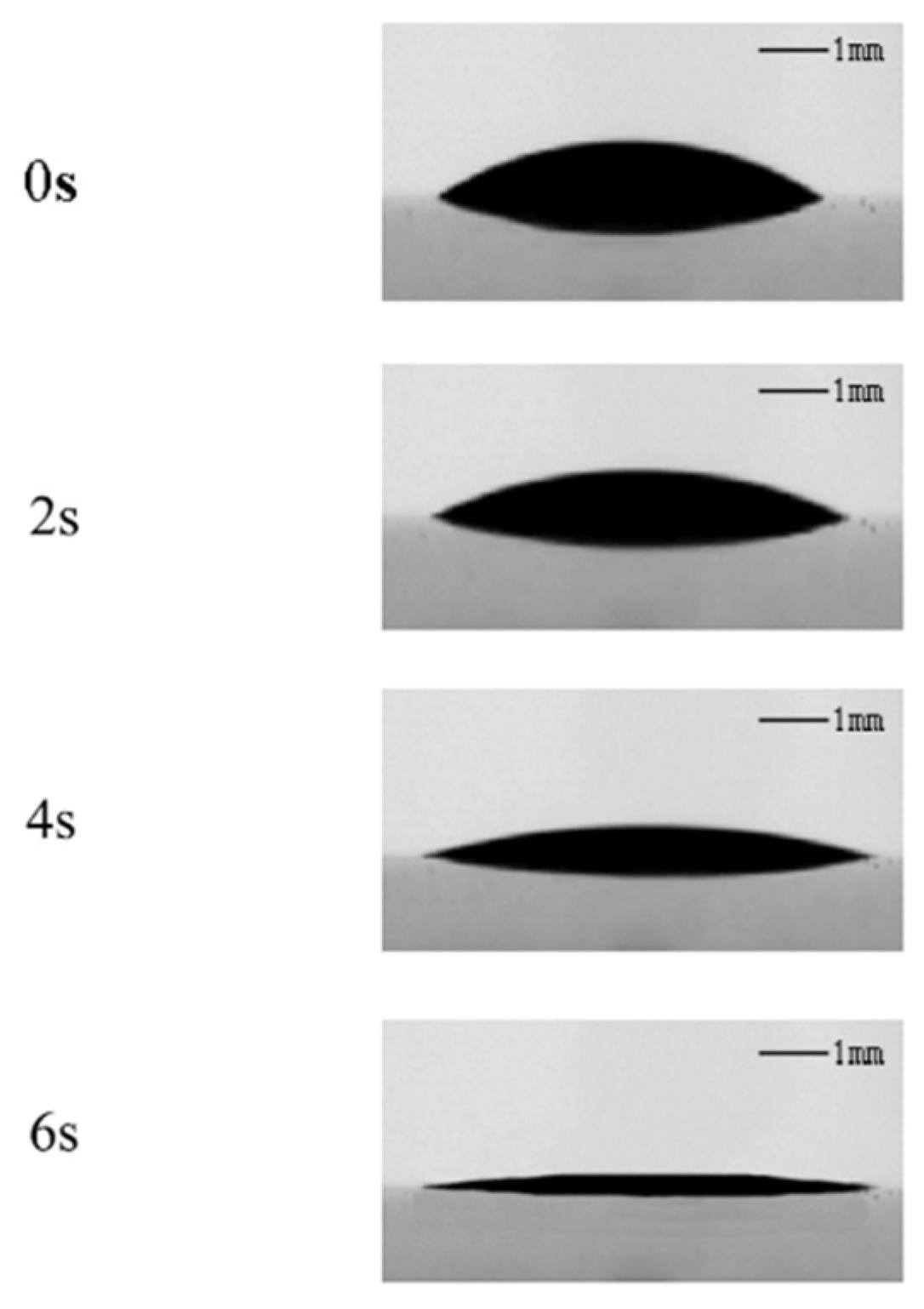 Coatings 12 00357 g012 550