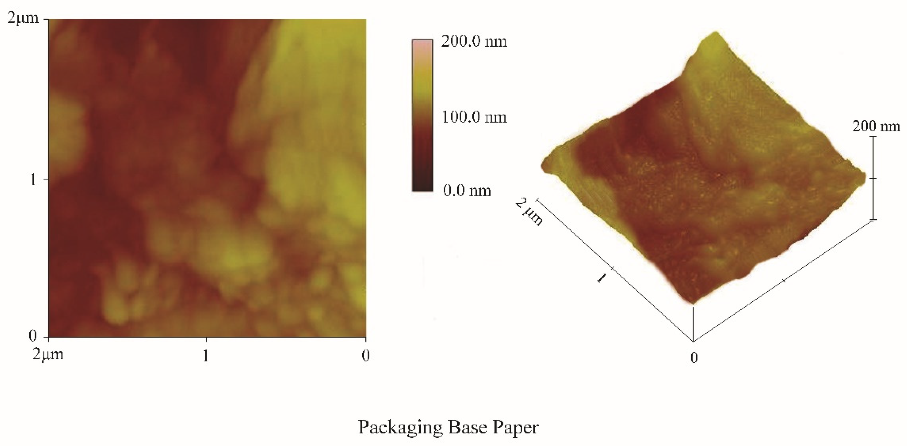 Coatings 12 00357 g014 550