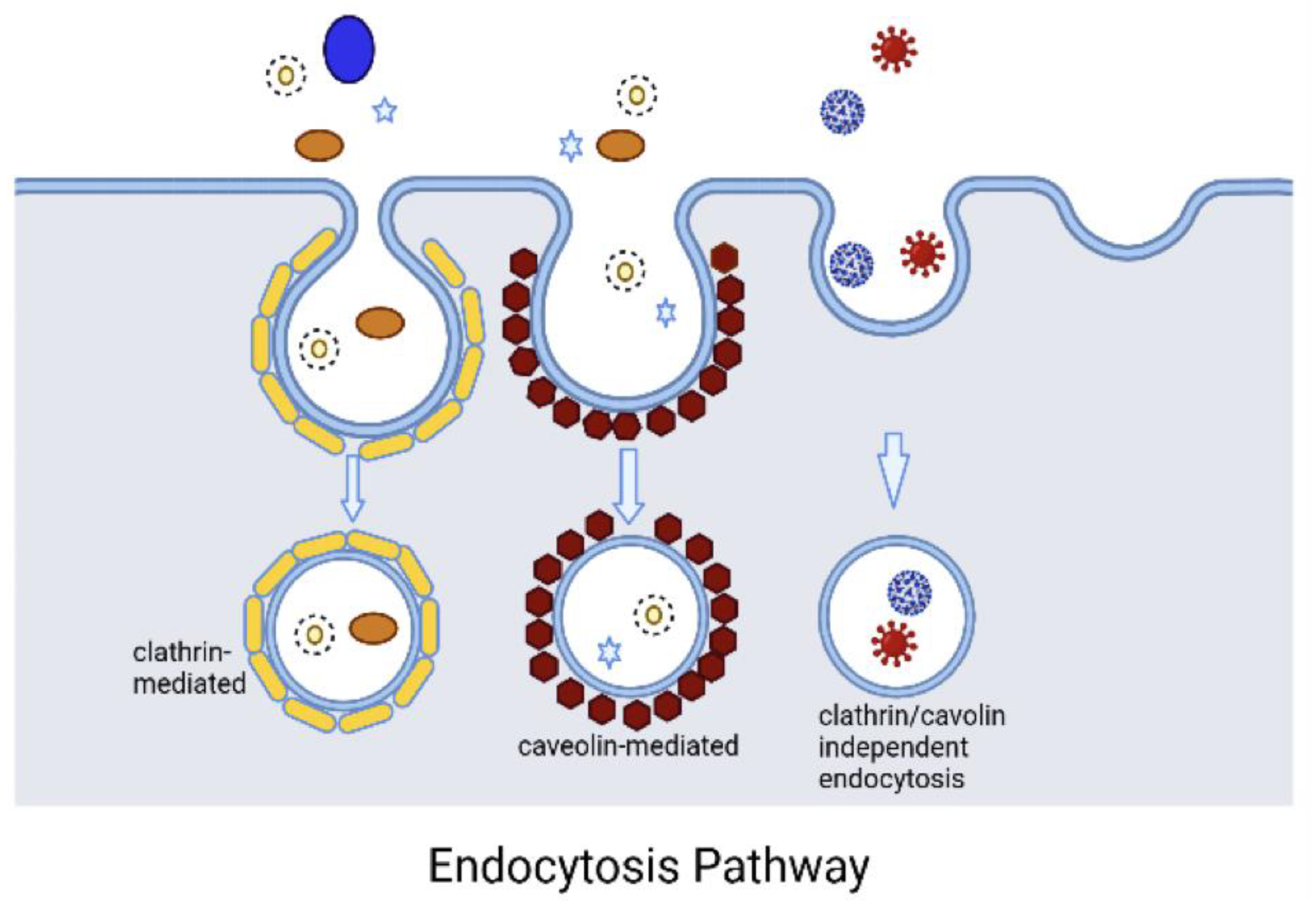 Coatings 12 00358 g003