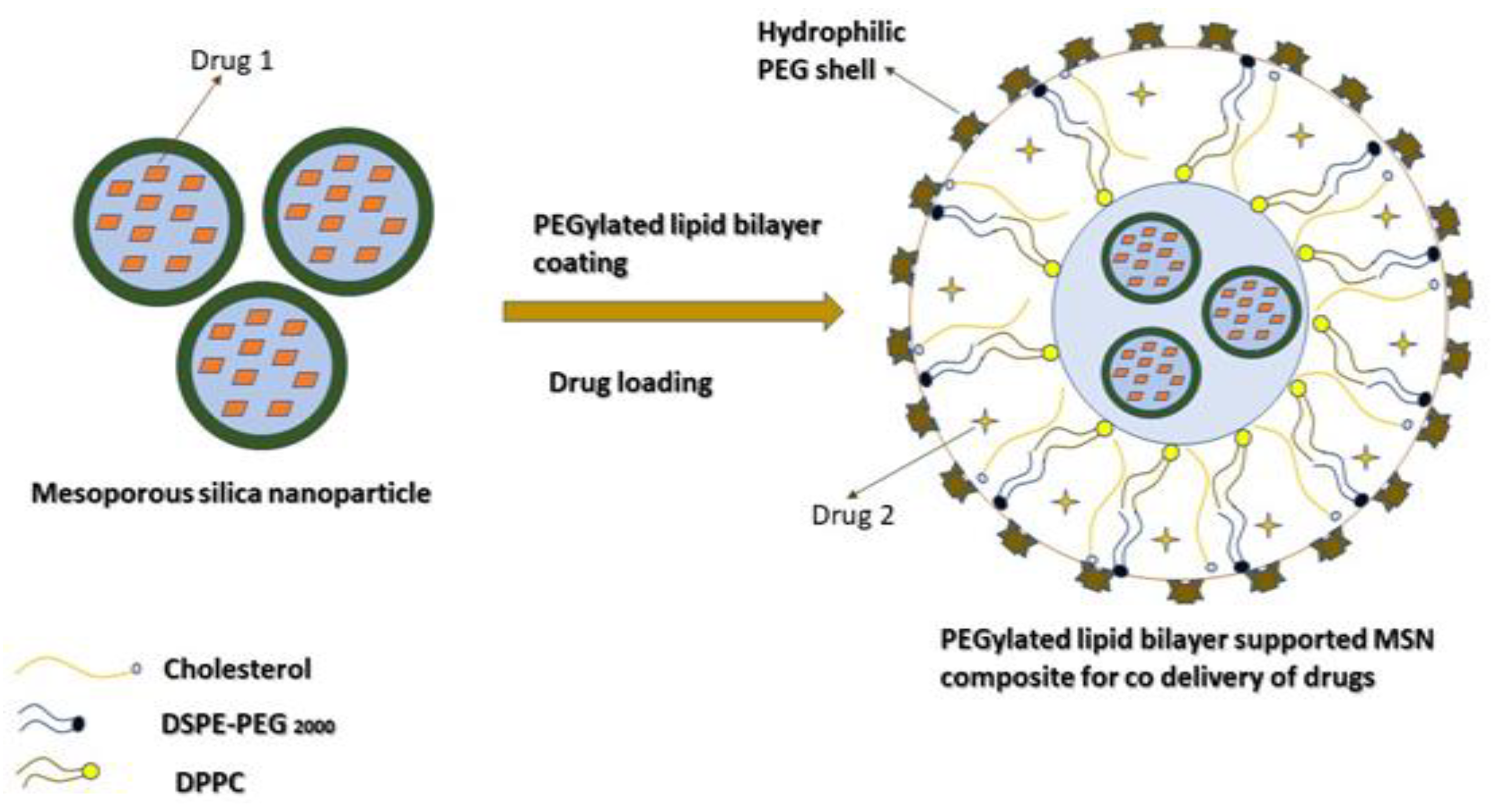 Coatings 12 00358 g005