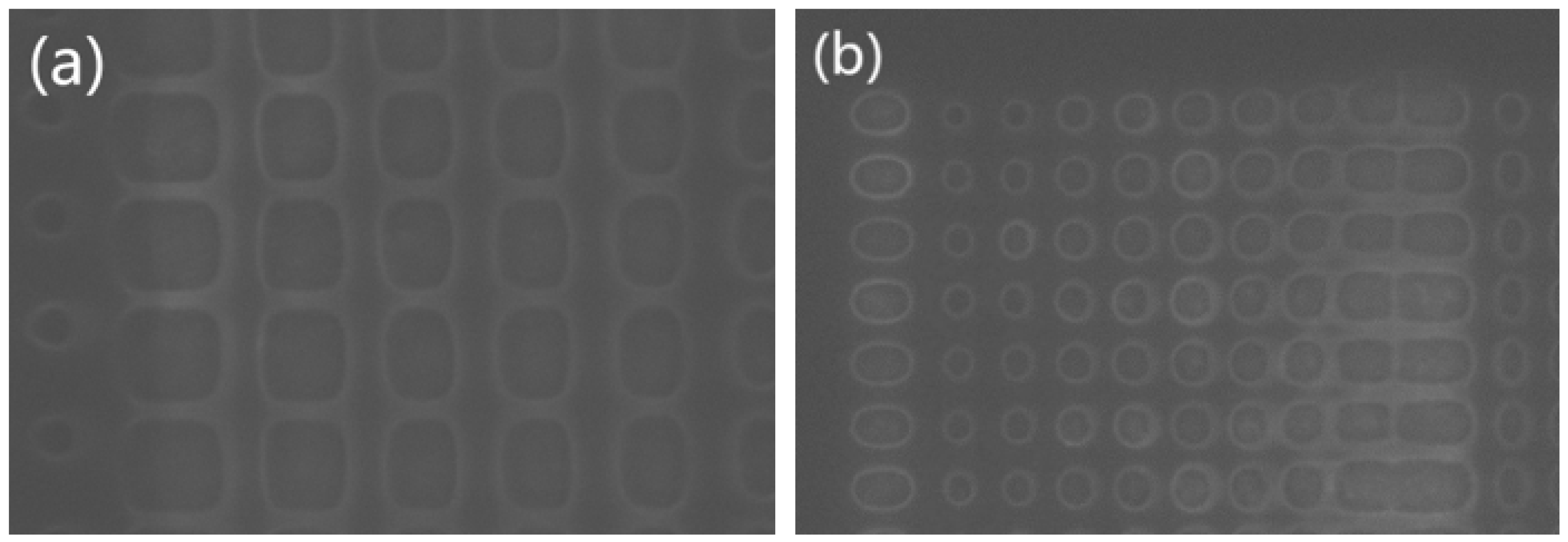 Coatings 12 00359 g003