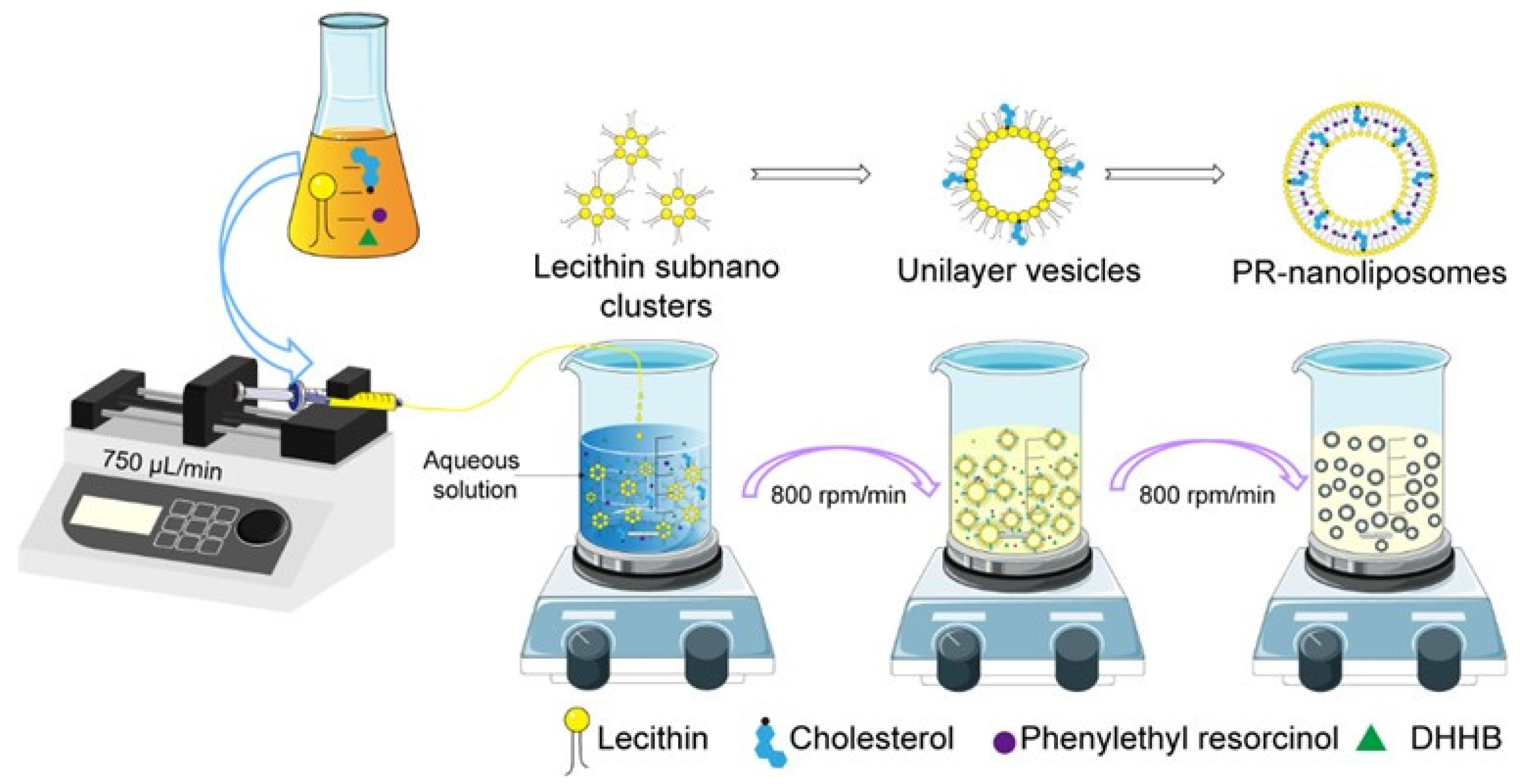 Coatings 12 00362 g001