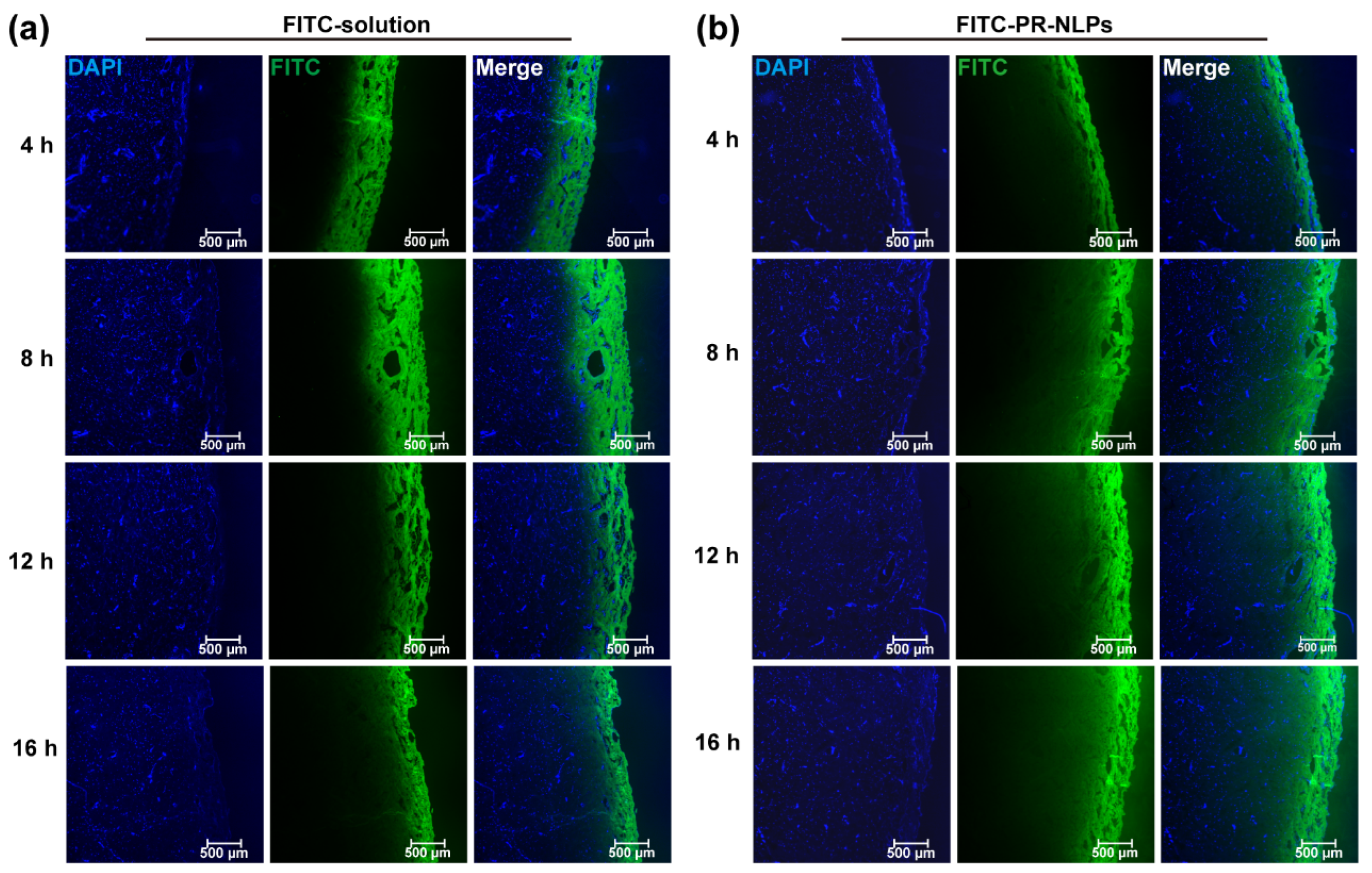Coatings 12 00362 g011