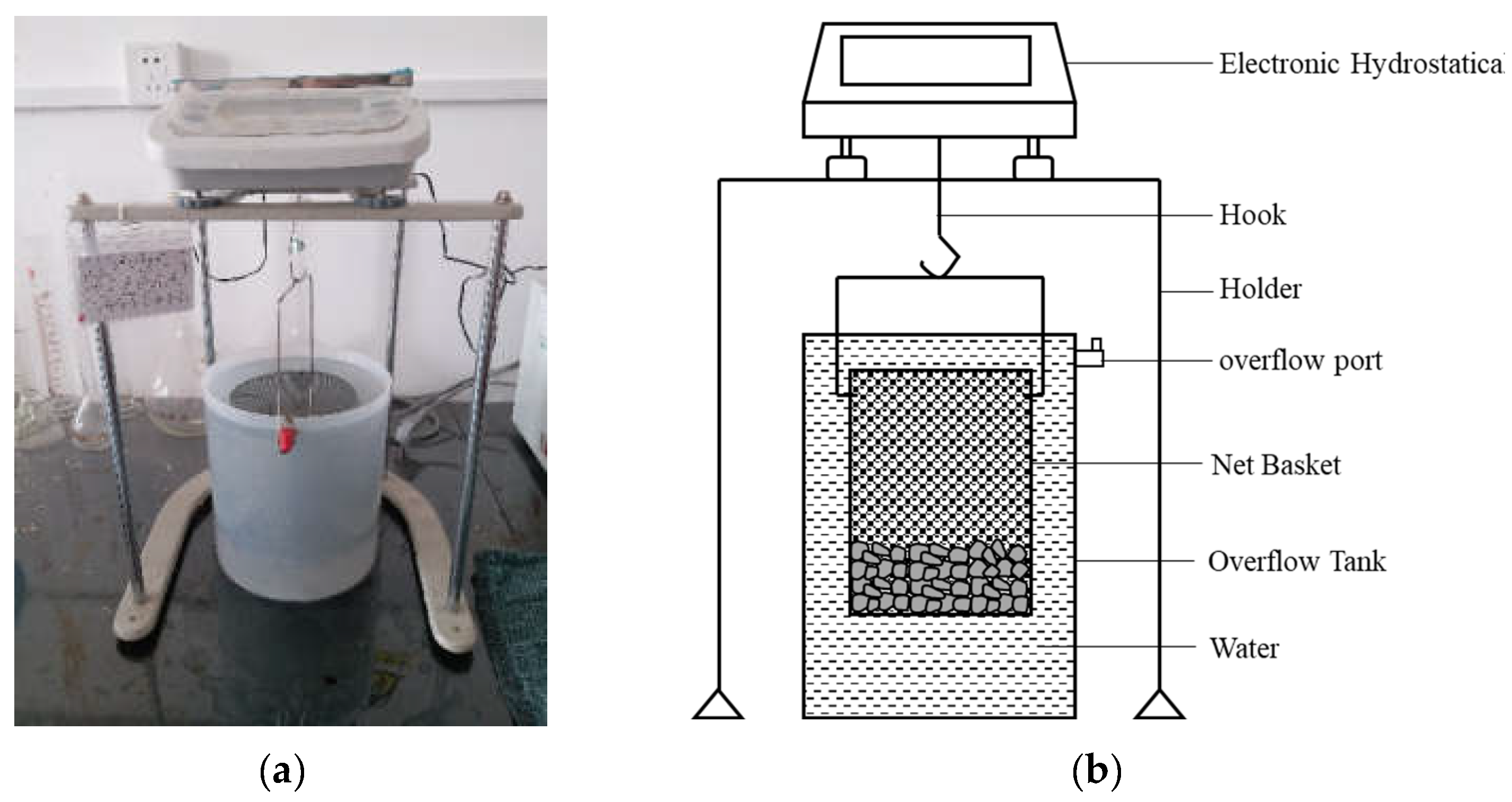 Coatings 12 00363 g001 550
