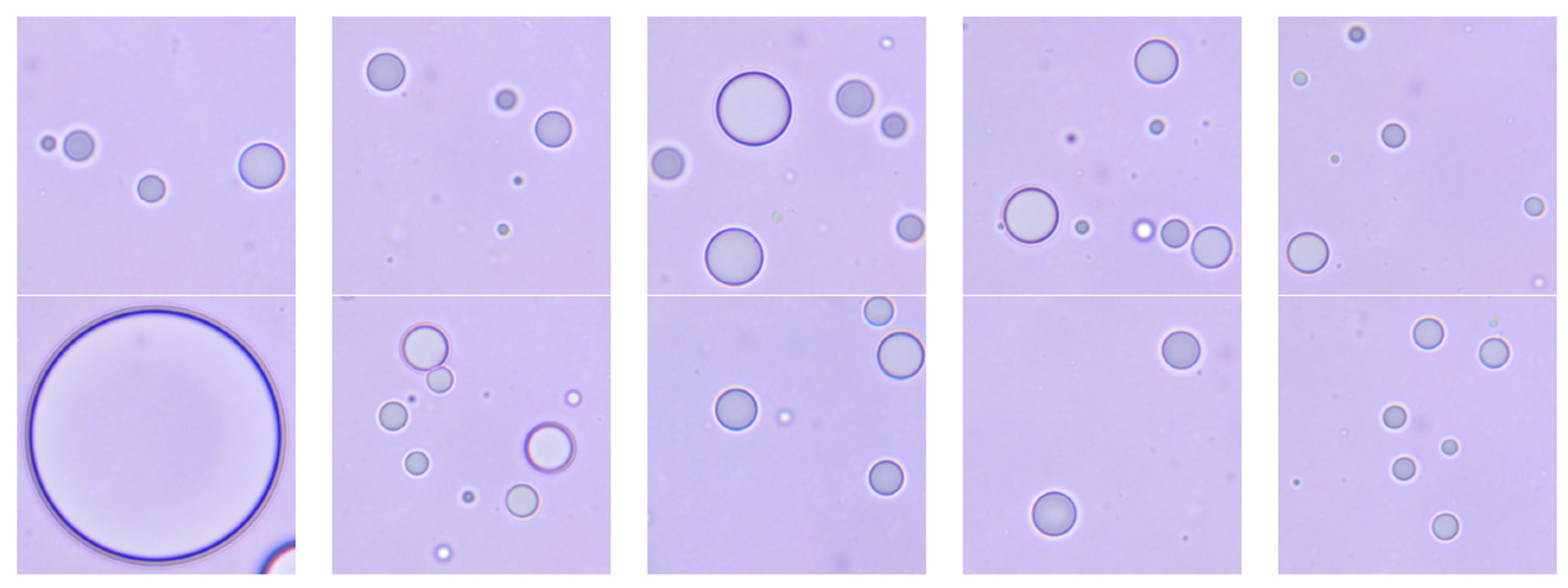 Coatings 12 00364 g001 550