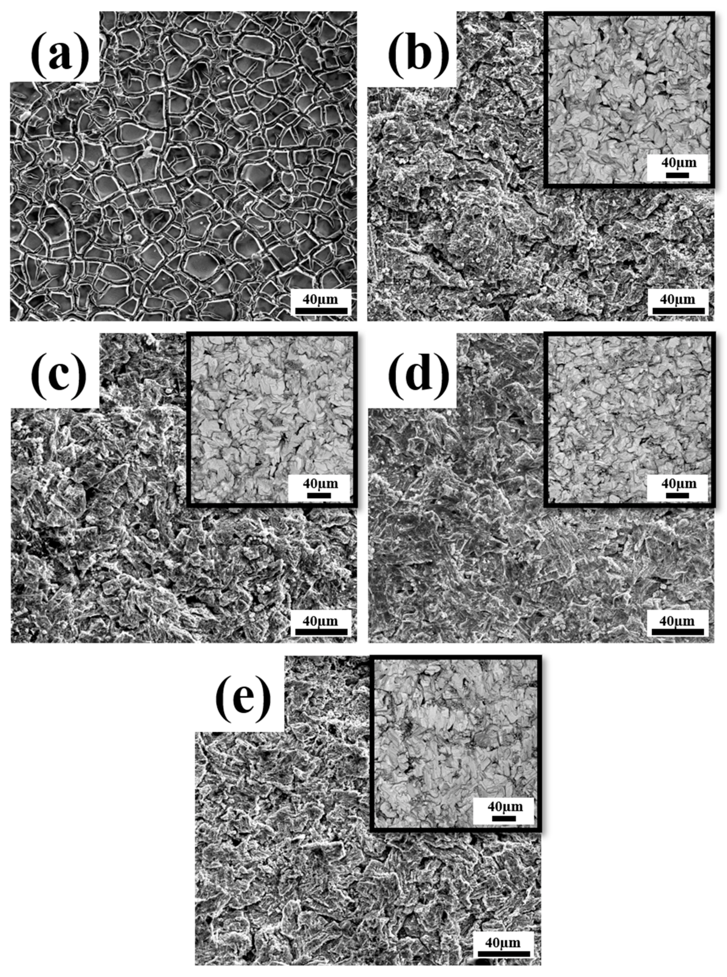 Coatings 12 00366 g002