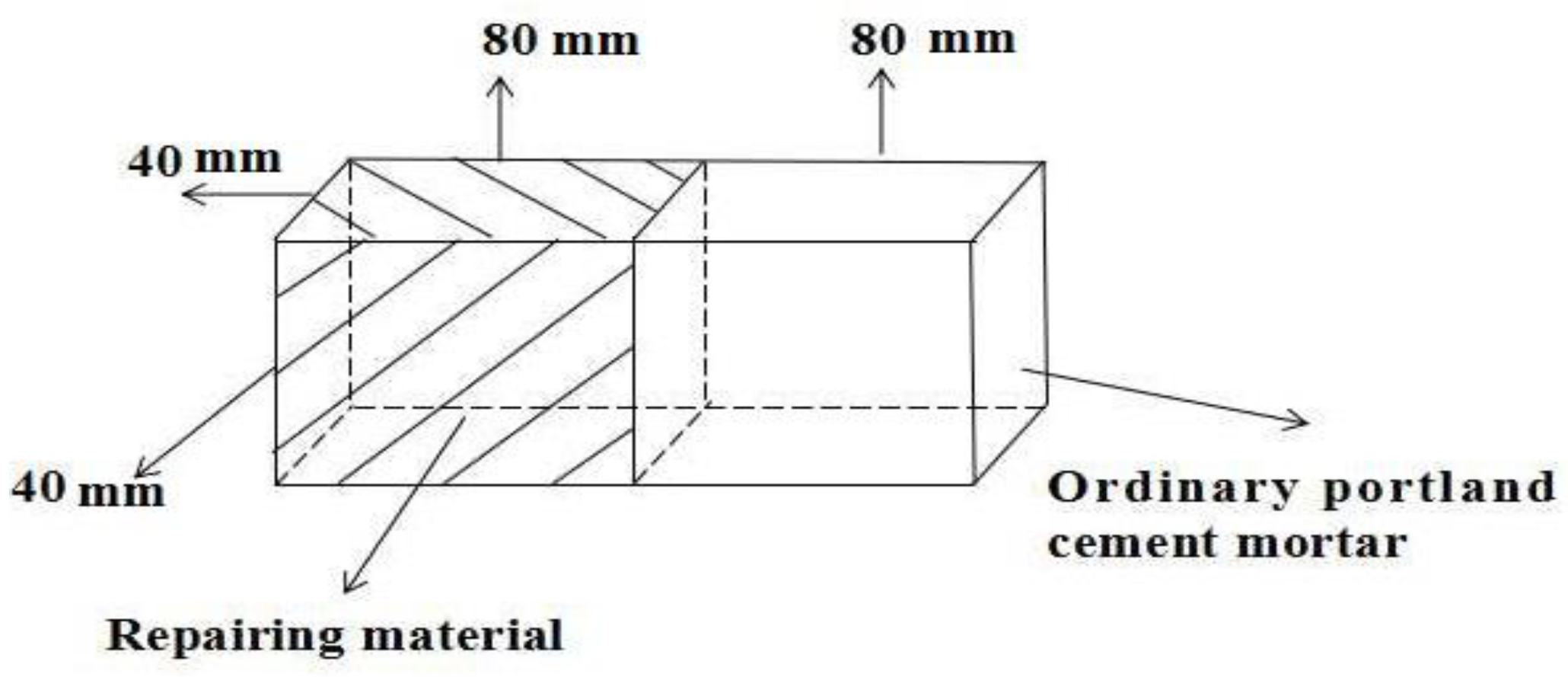 Coatings 12 00370 g002 550