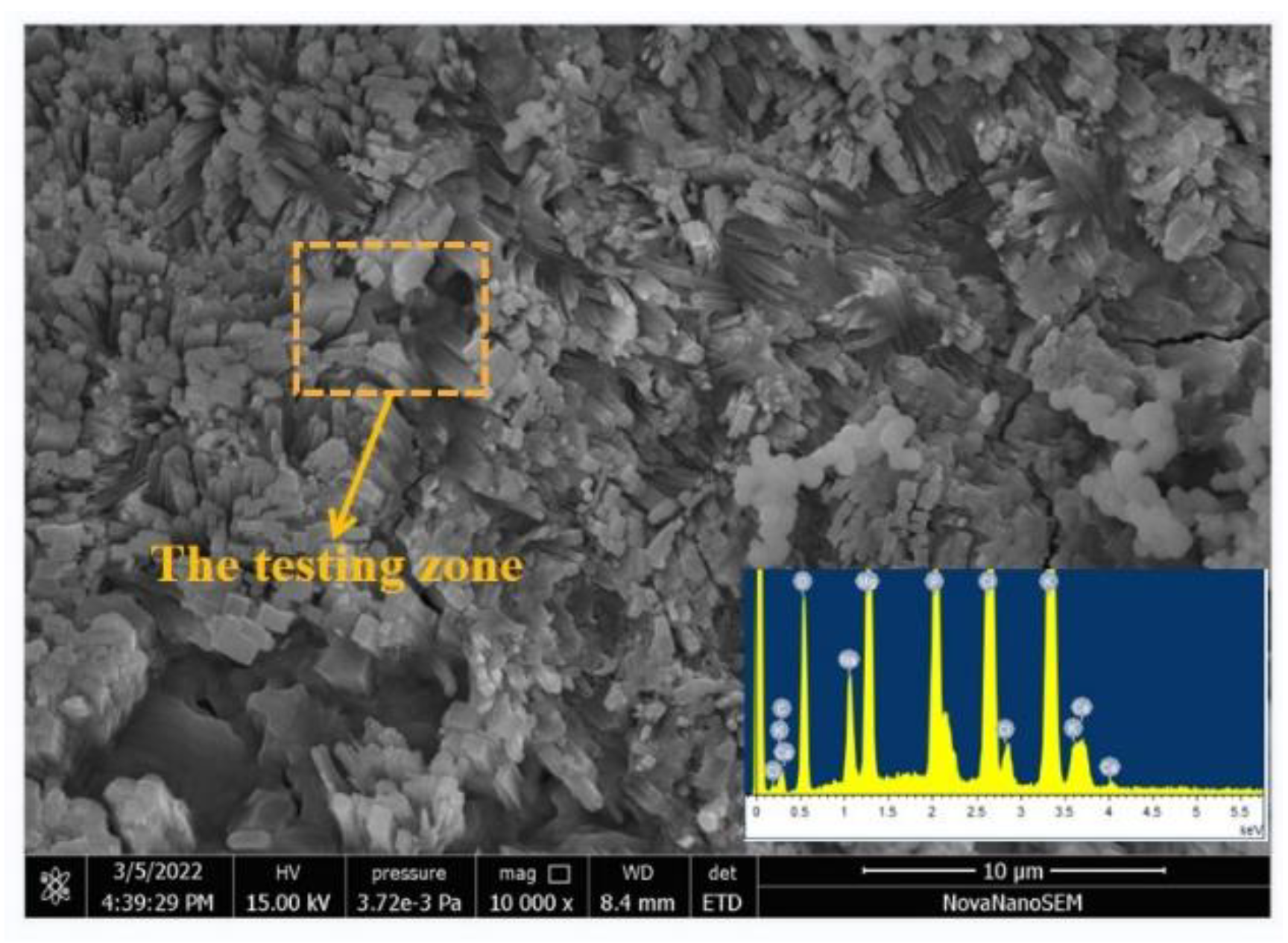 Coatings 12 00370 g011 550