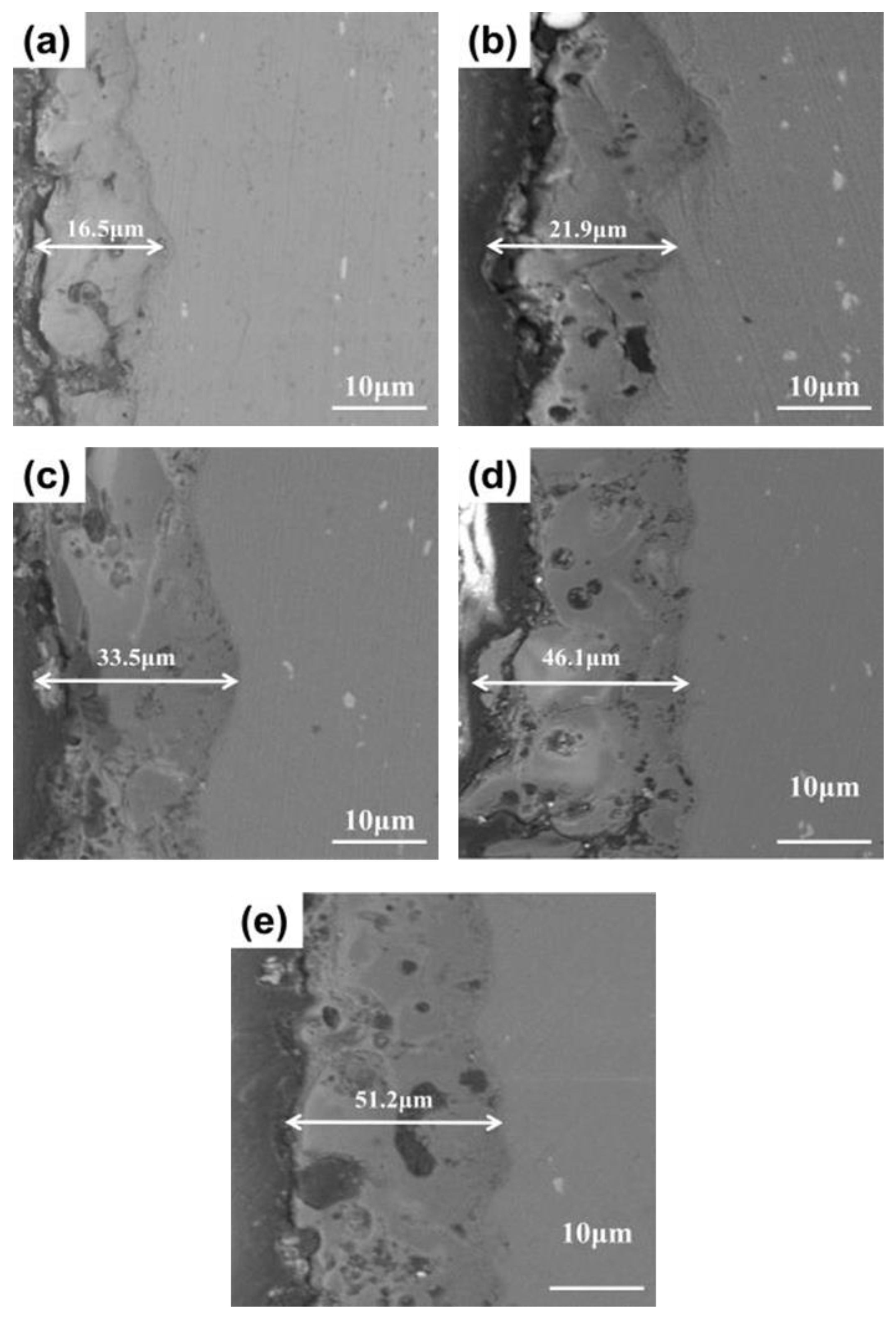 Coatings 12 00373 g002