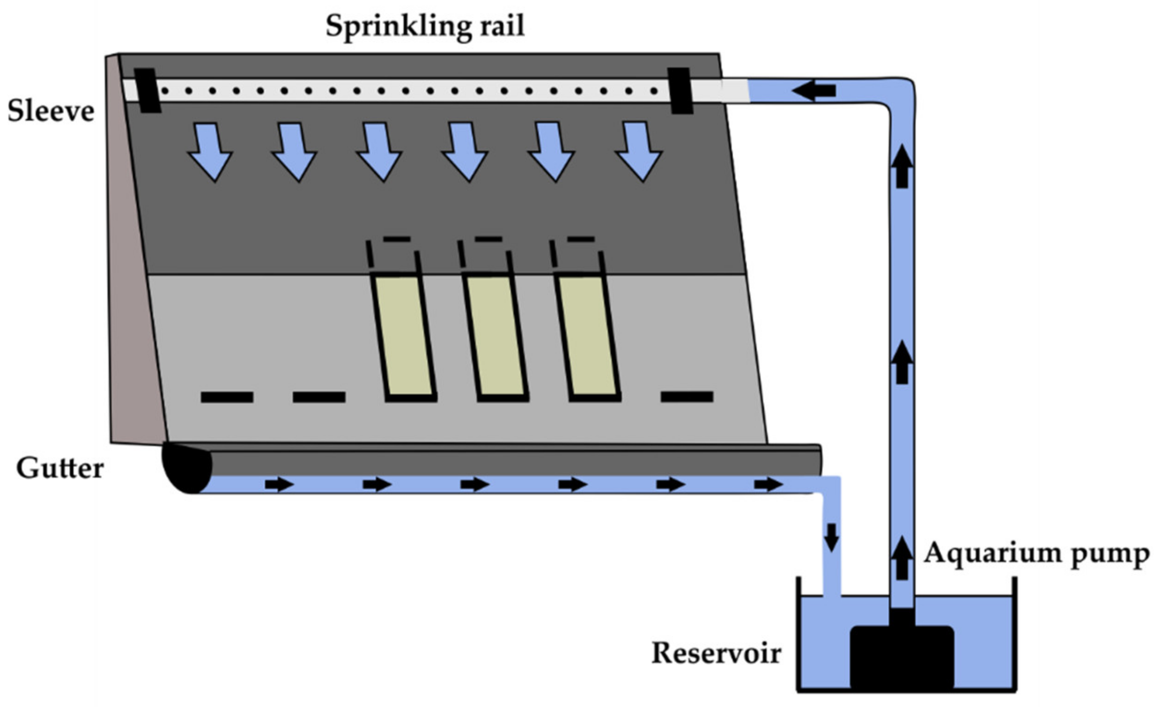 Coatings 12 00375 g001 550