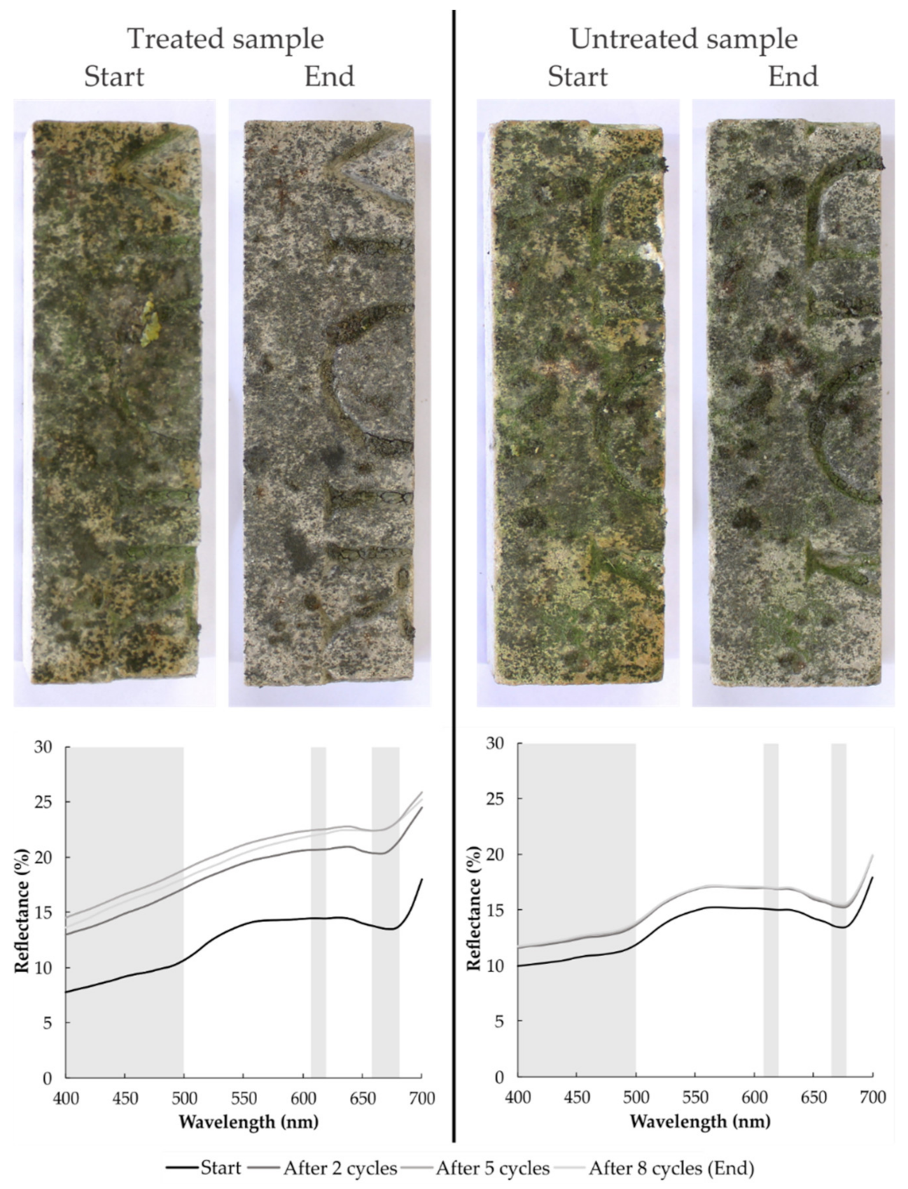 Coatings 12 00375 g003 550