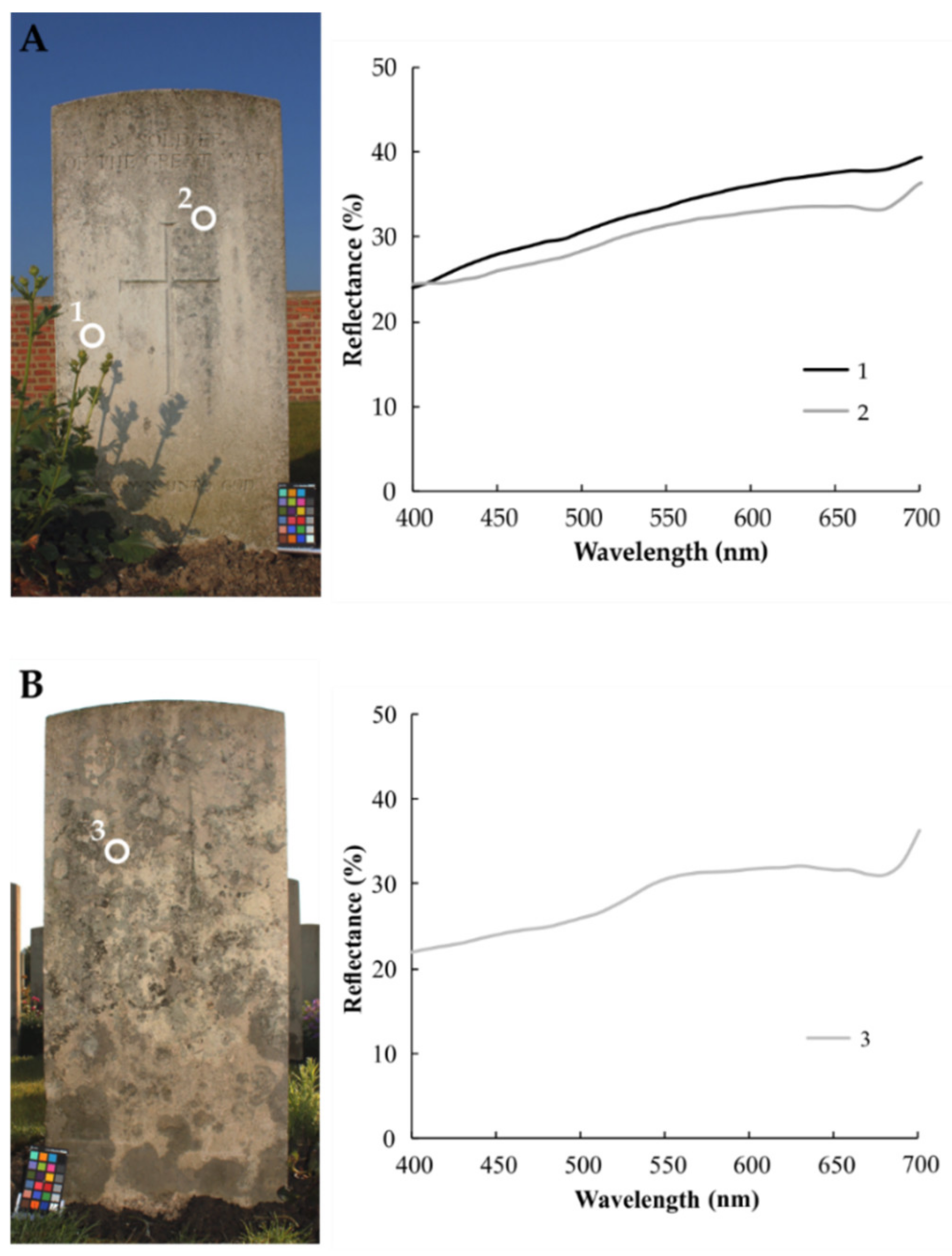 Coatings 12 00375 g004 550