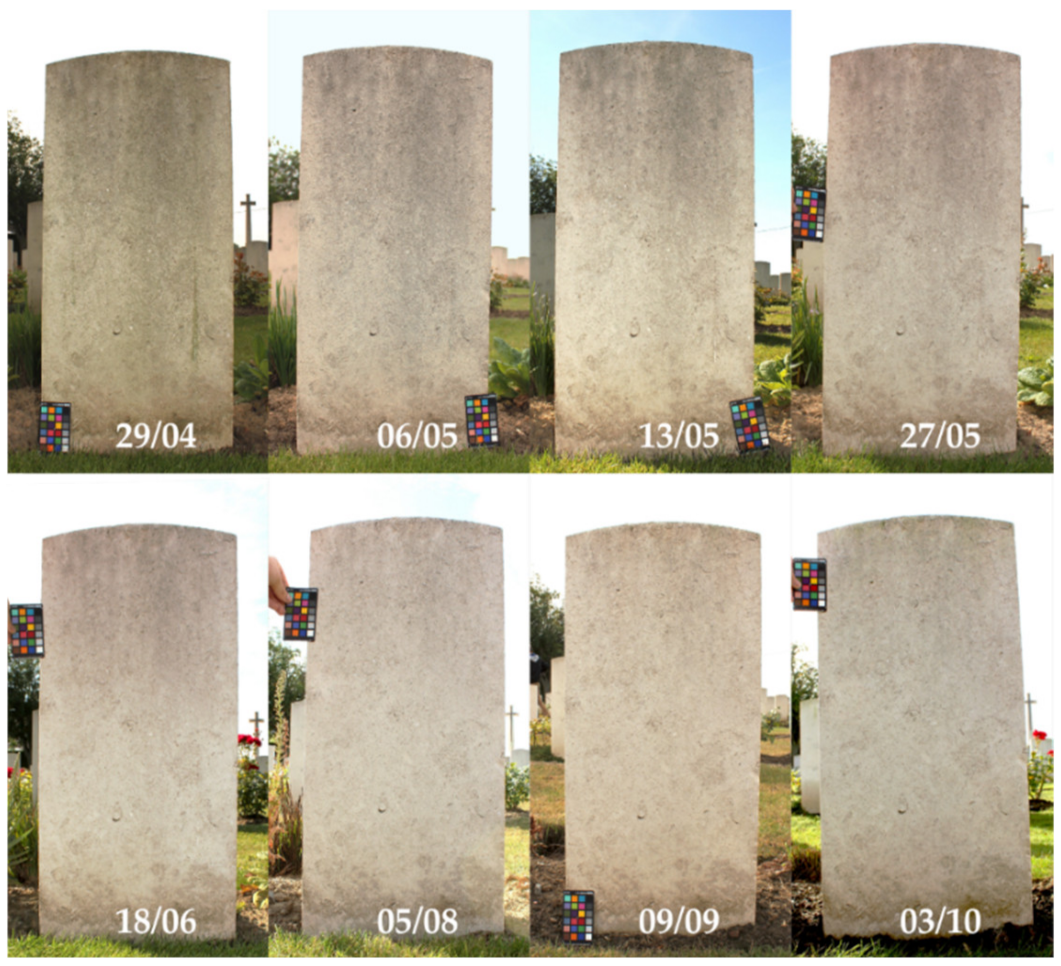 Coatings 12 00375 g007 550