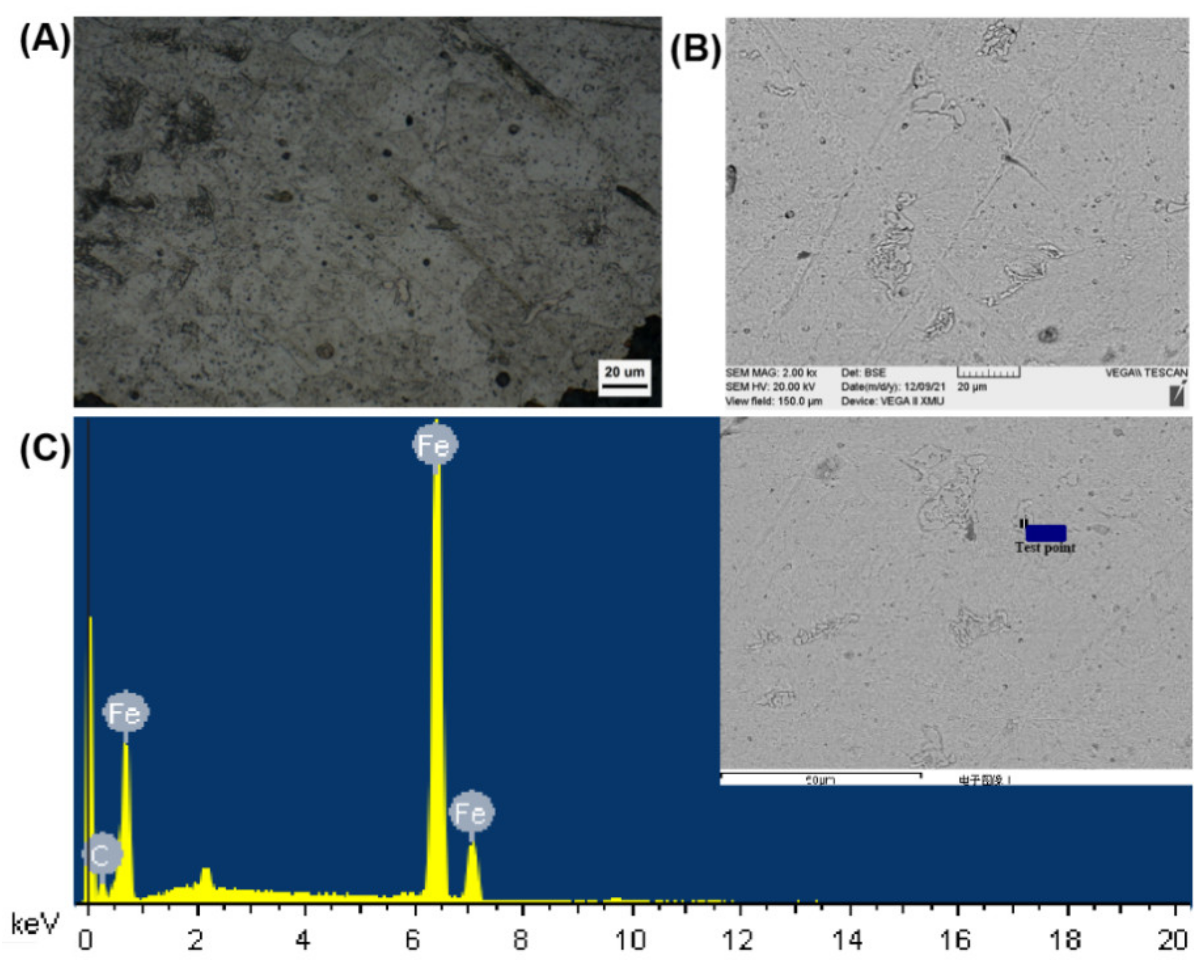 Coatings 12 00381 g004