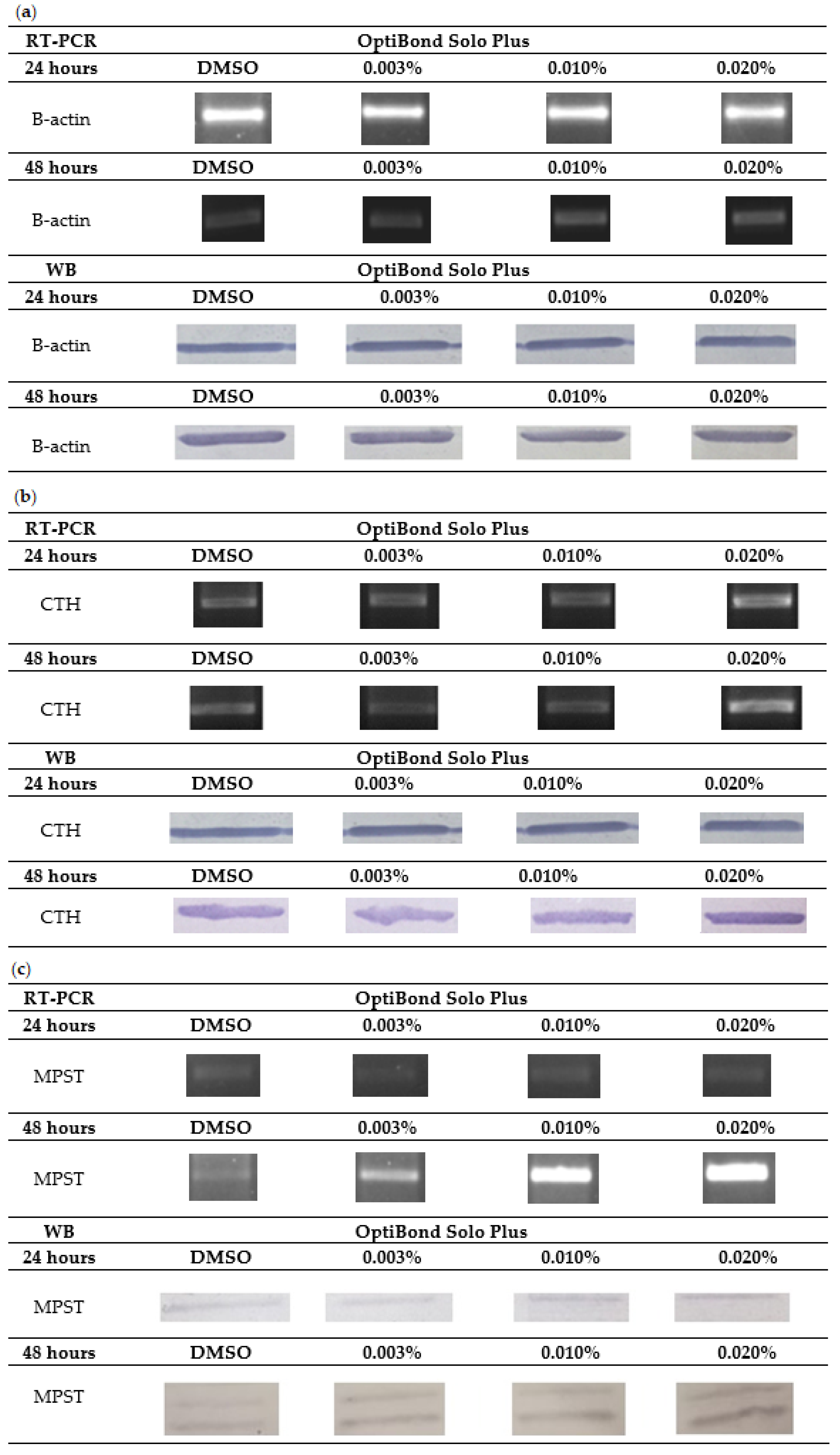 Coatings 12 00382 g003