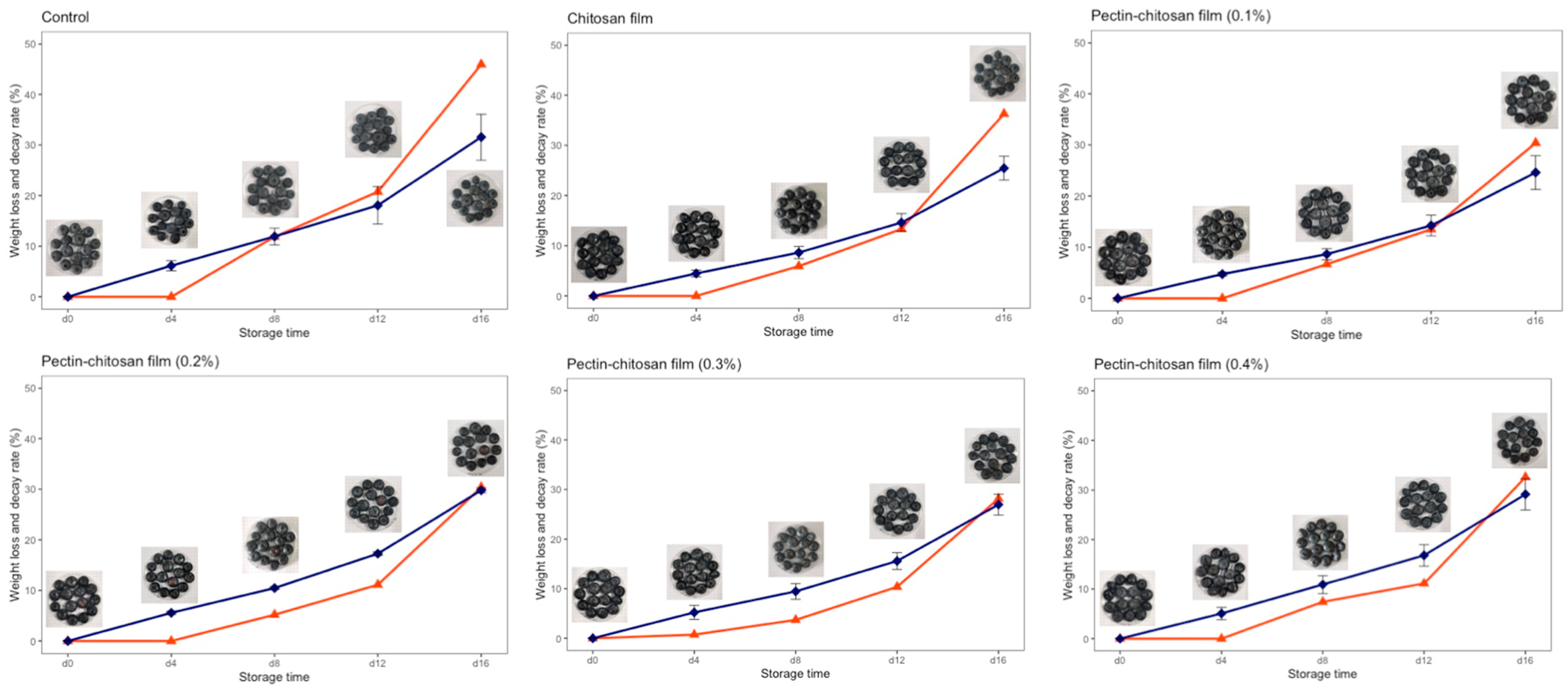 Coatings 12 00385 g005