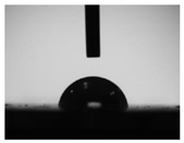 Coatings 12 00387 i003