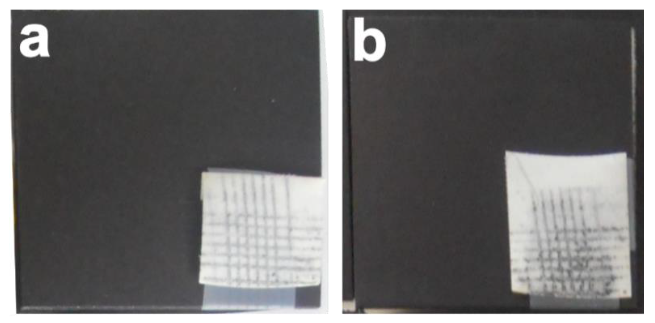 Coatings 12 00388 g011 550