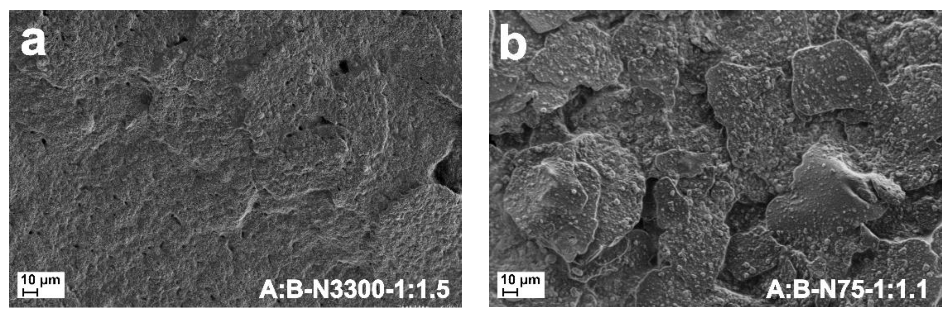 Coatings 12 00388 g012 550