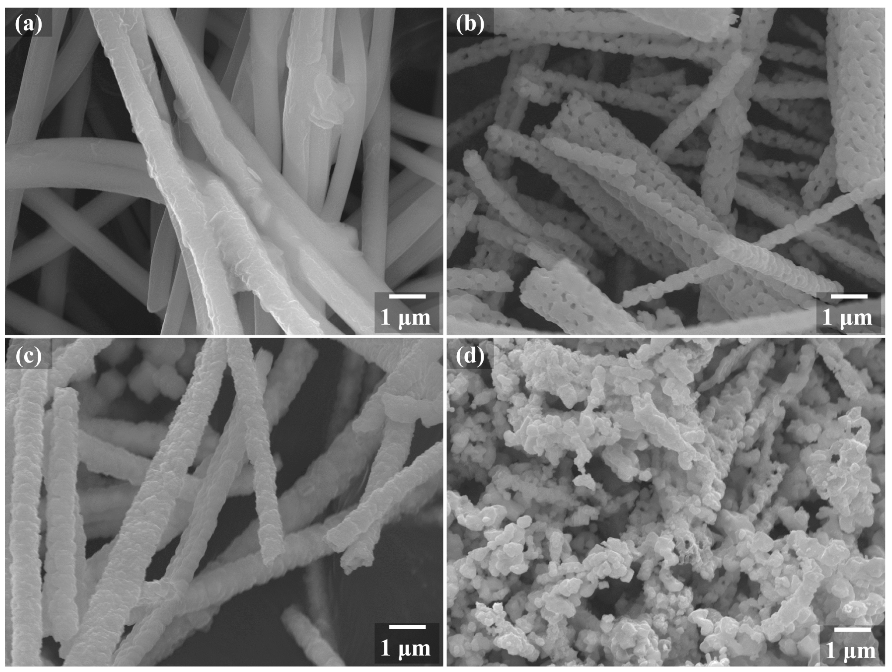 Coatings 12 00389 g001