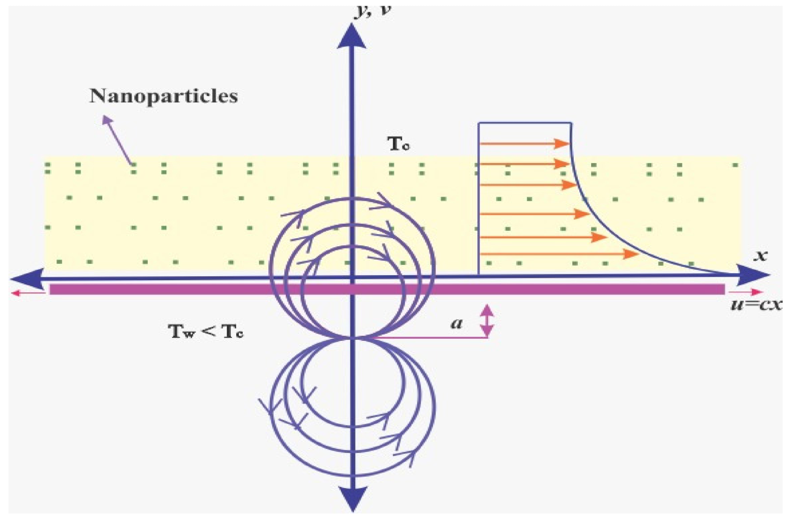 Coatings 12 00391 g001 550