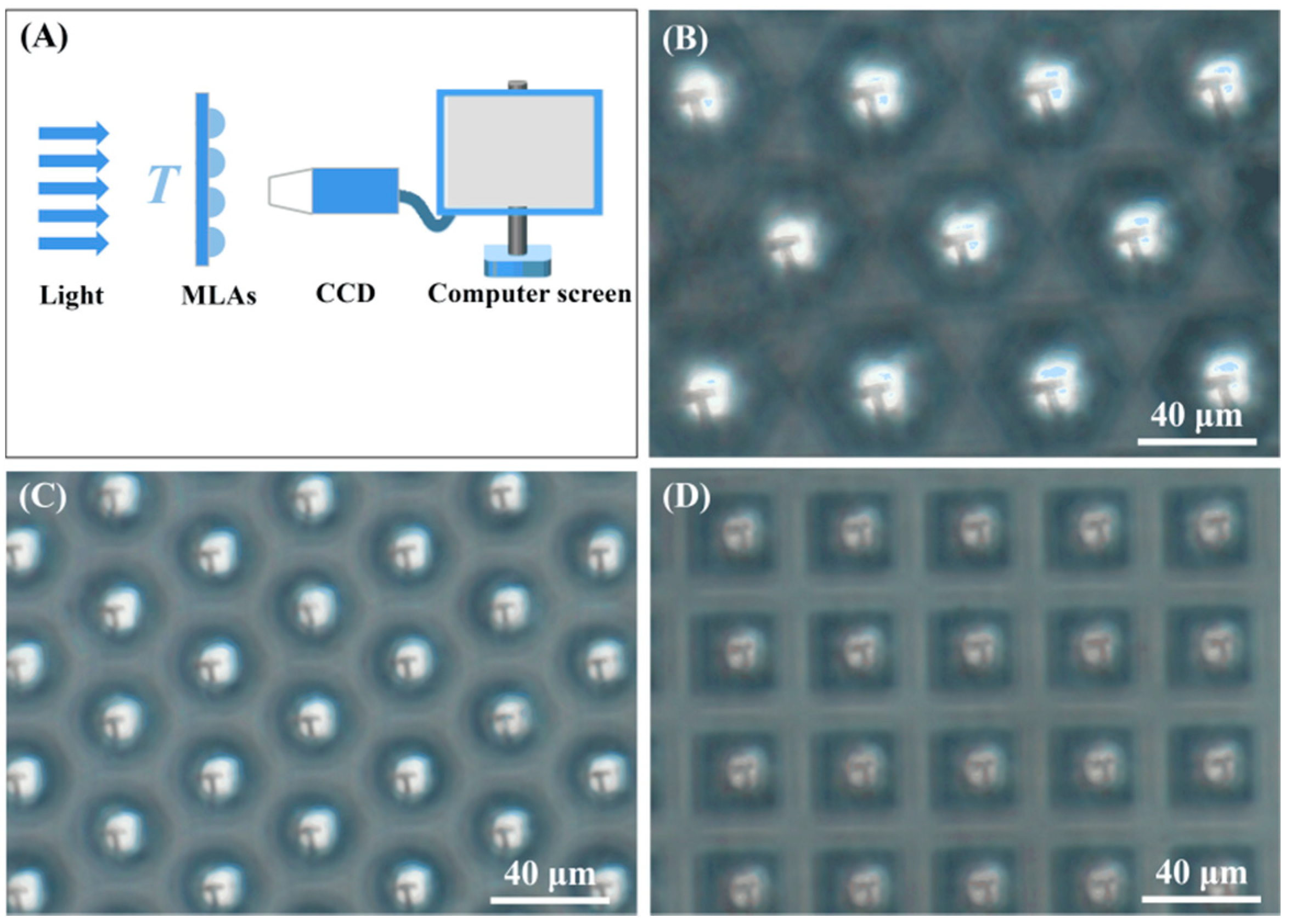 Coatings 12 00393 g005 550