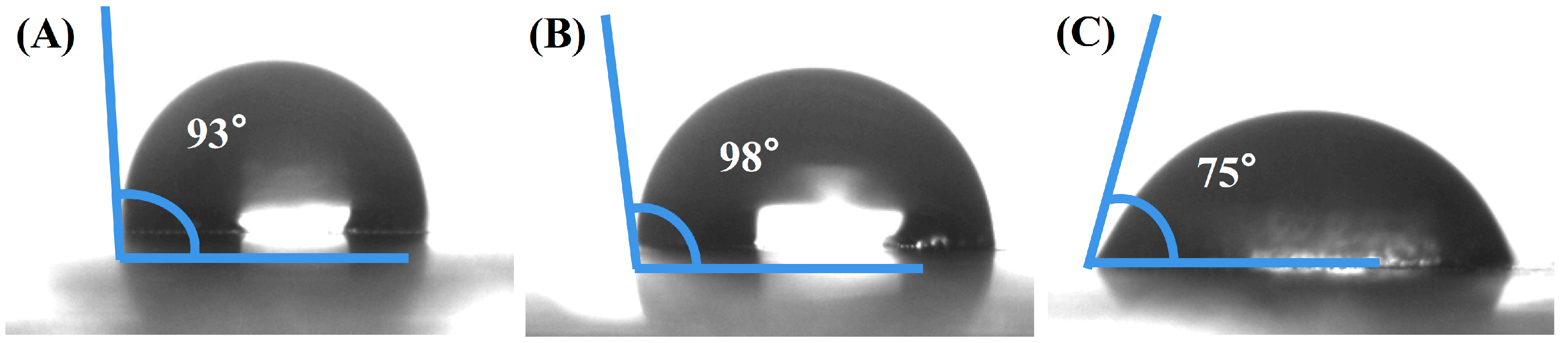 Coatings 12 00393 g006 550
