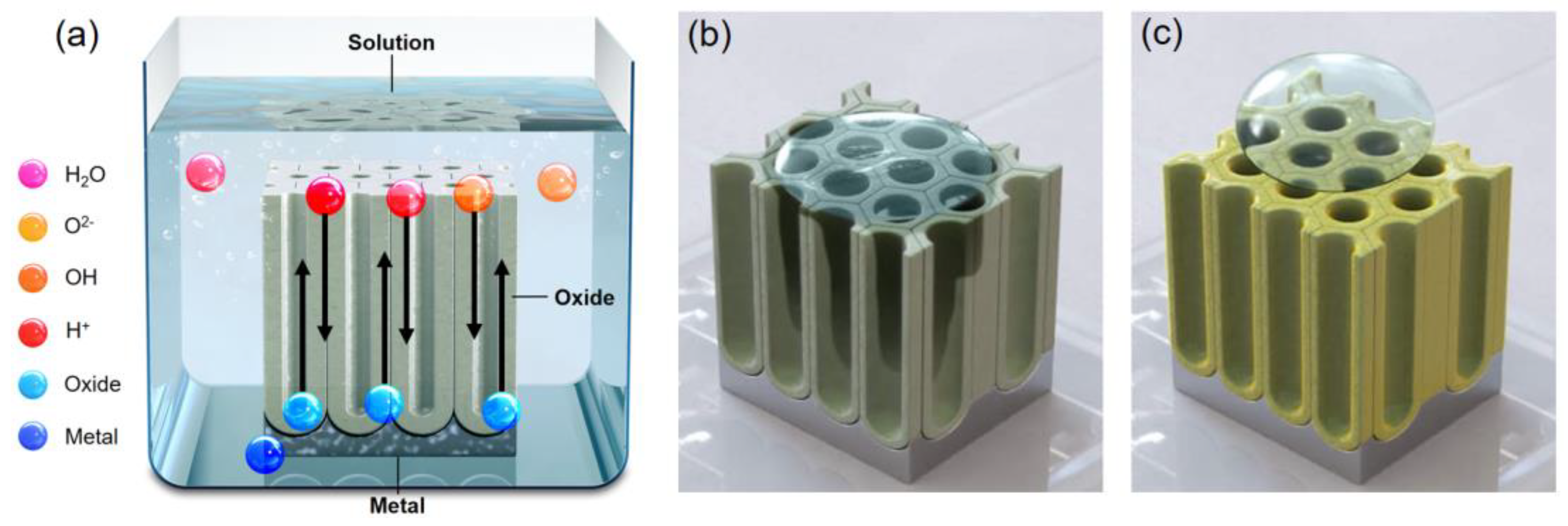Coatings 12 00395 g001