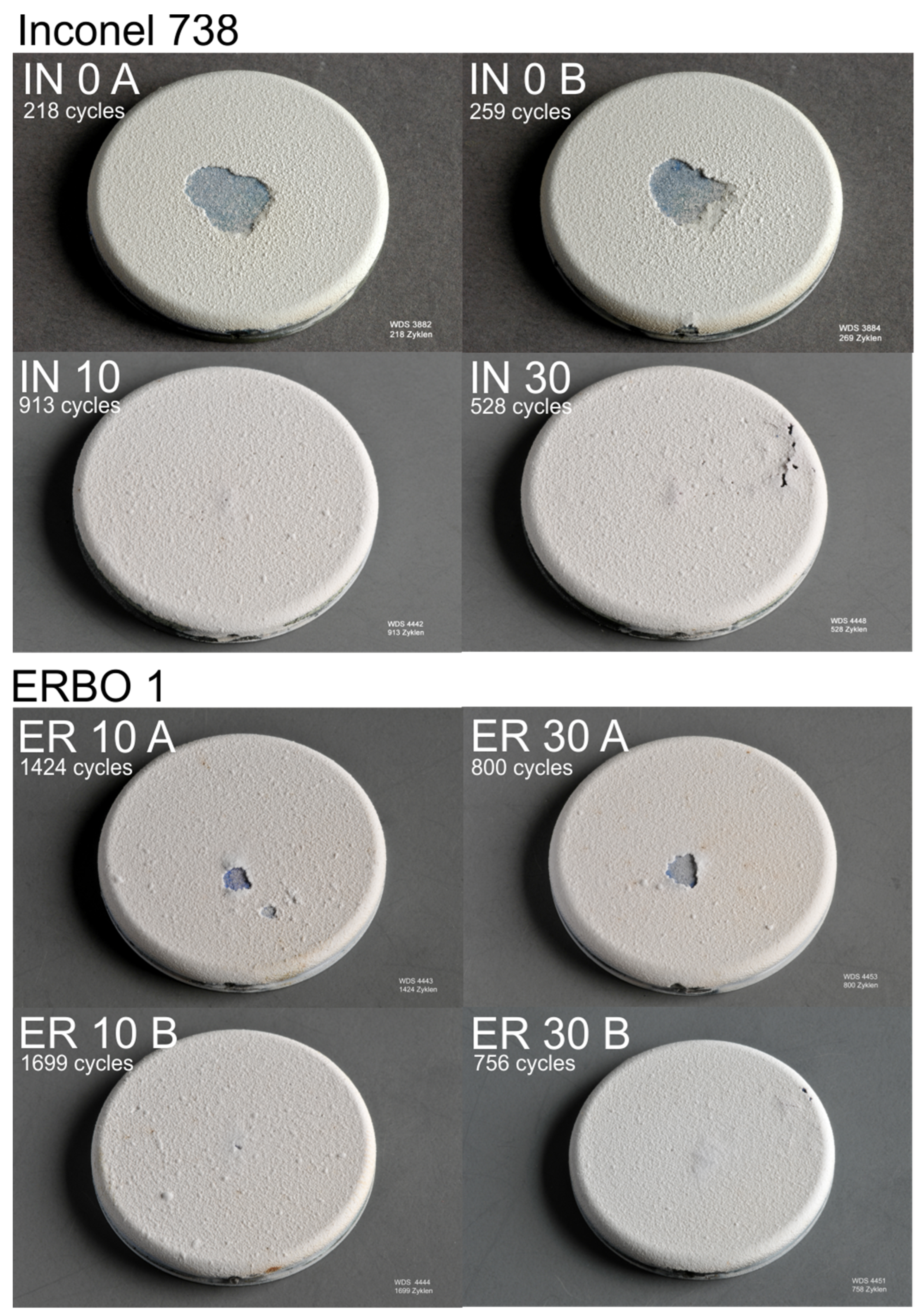 Coatings 12 00396 g002 550