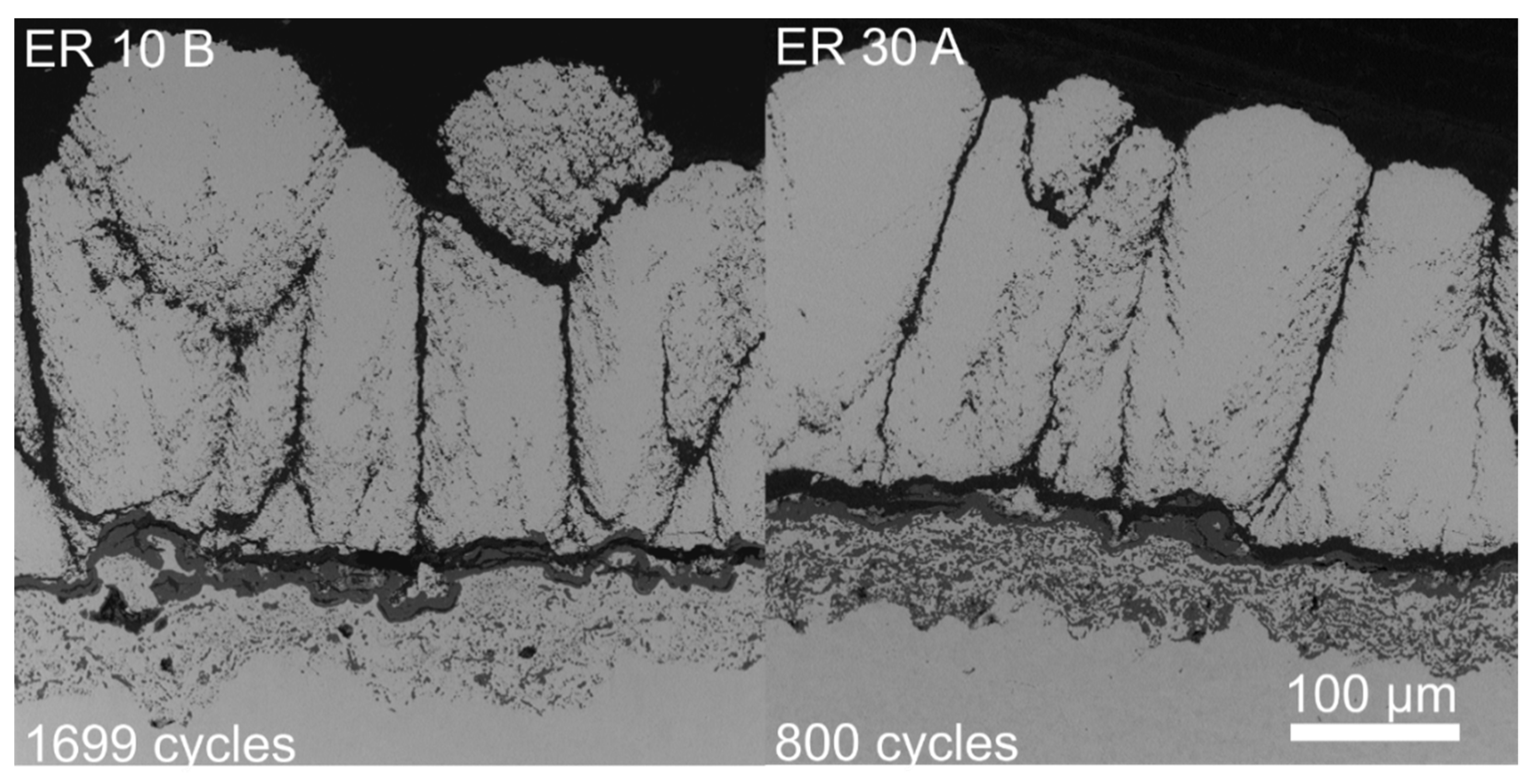 Coatings 12 00396 g003 550