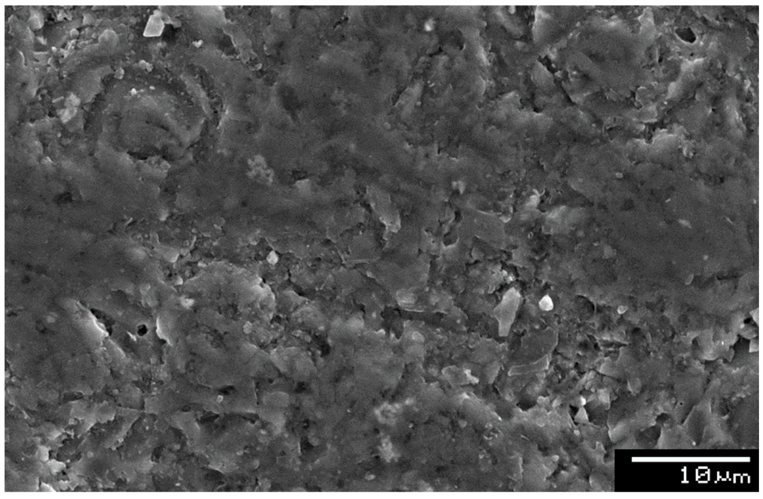 Coatings 12 00399 g003