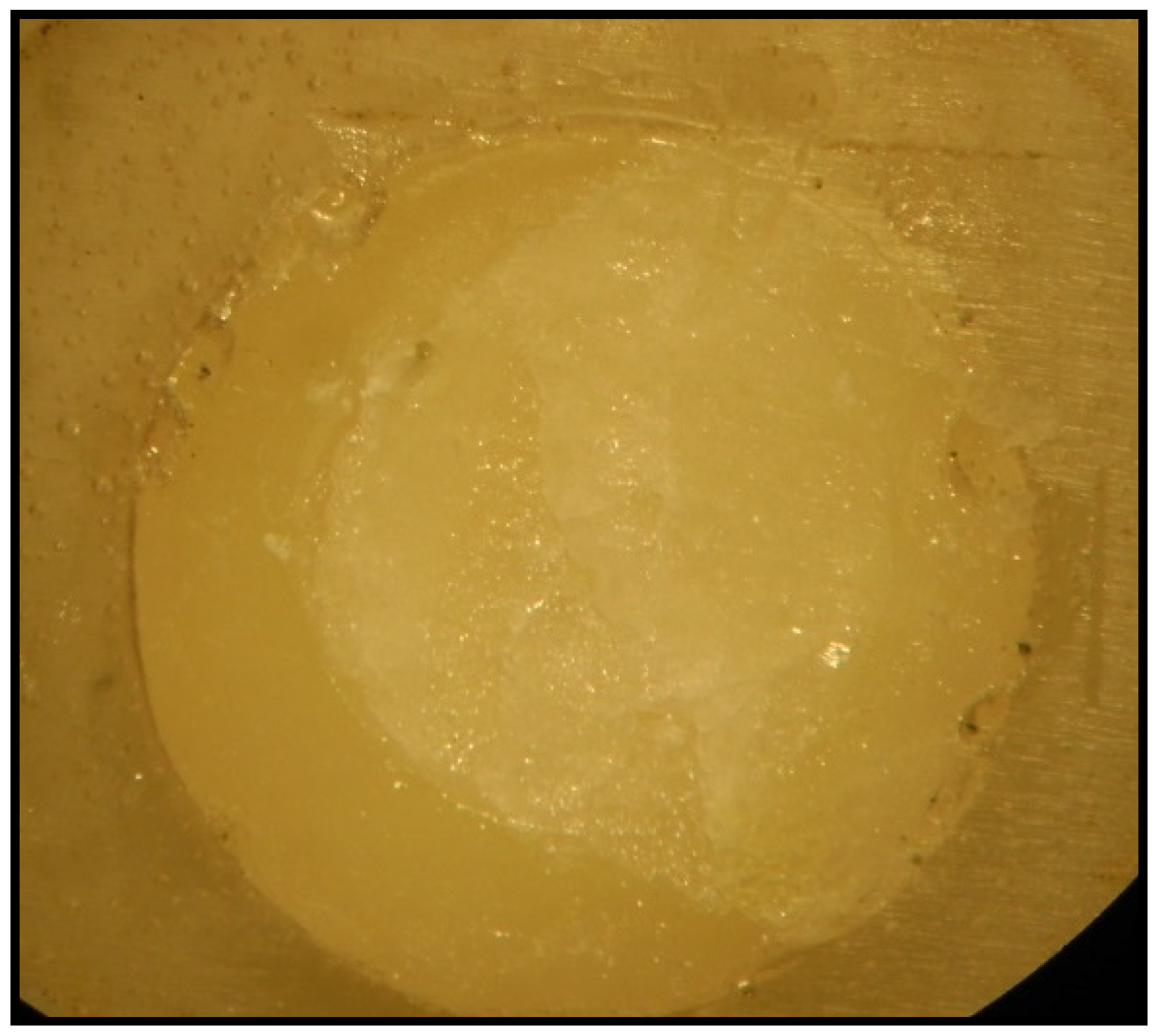 Coatings 12 00399 g005