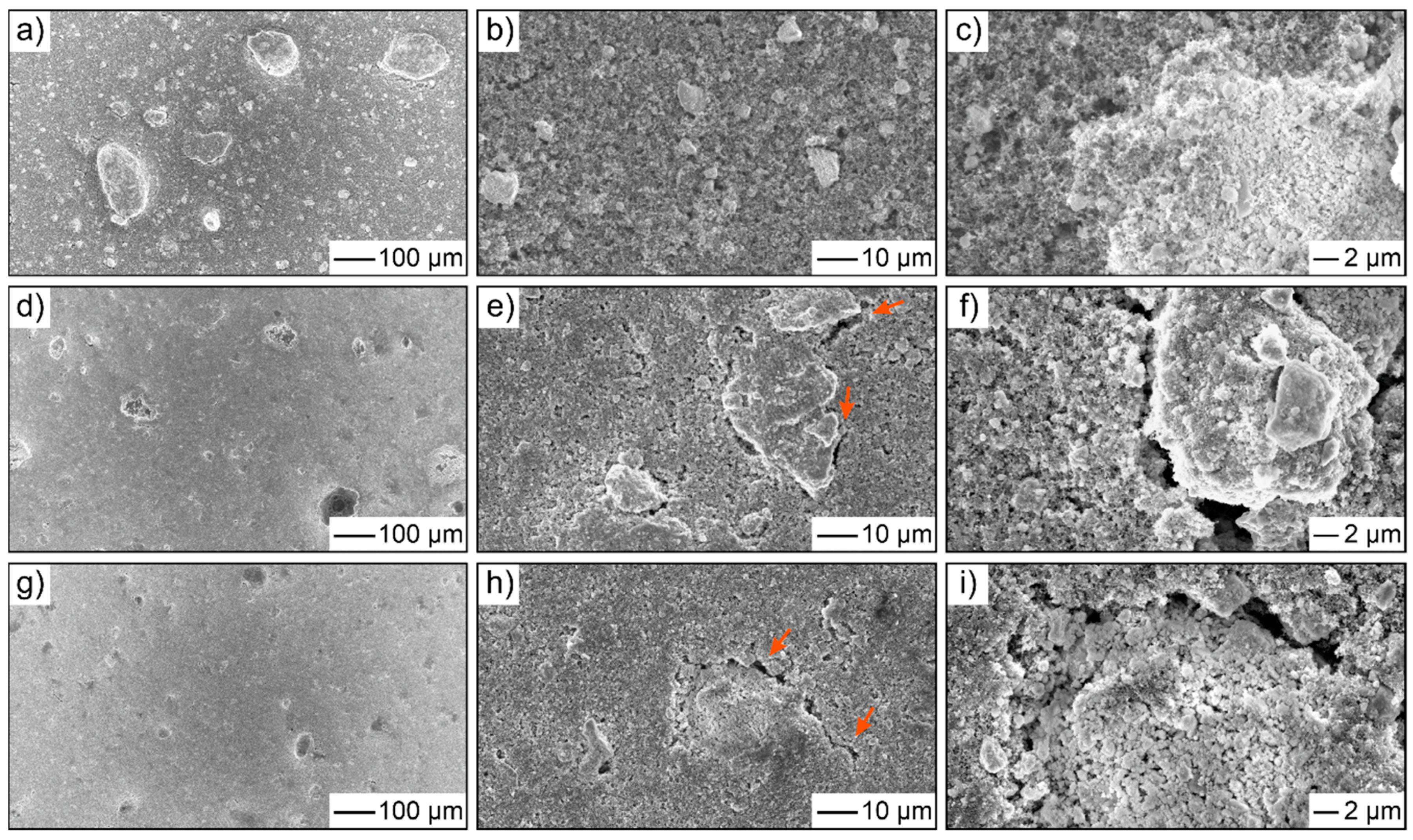 Coatings 12 00402 g002 550