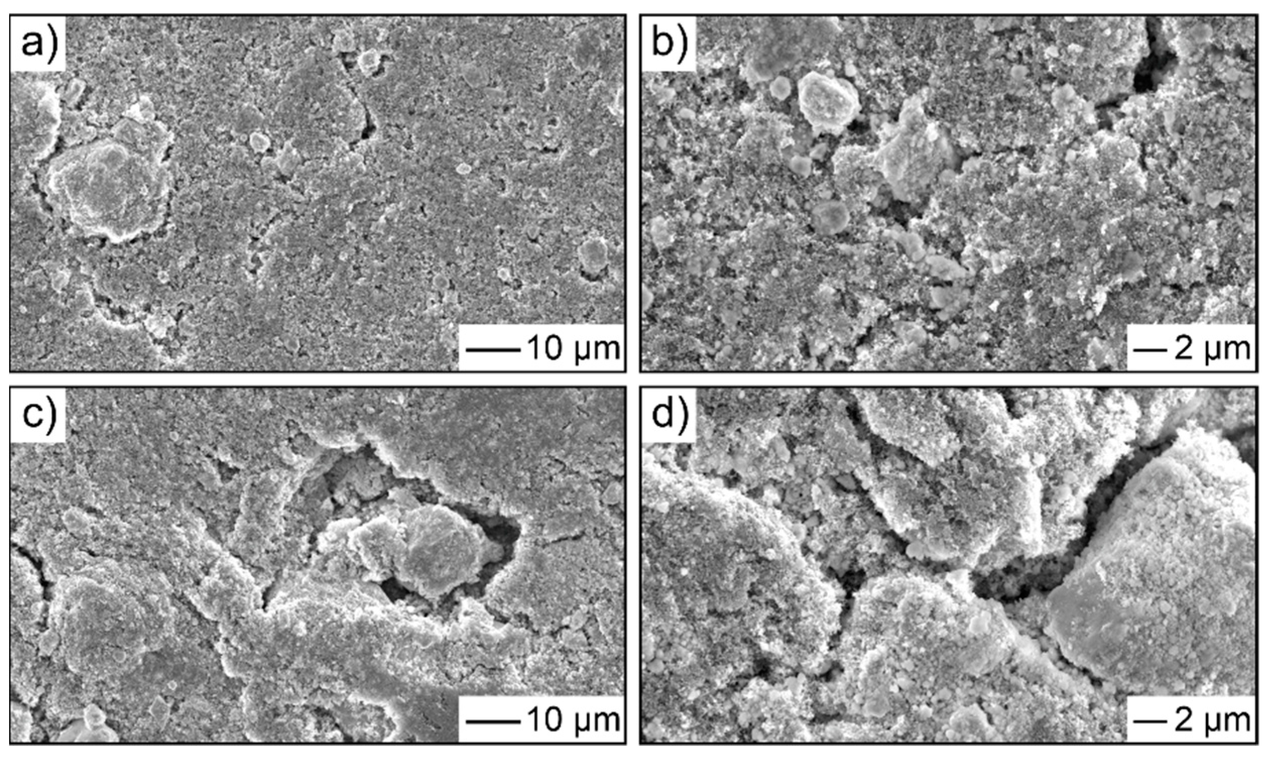 Coatings 12 00402 g003 550